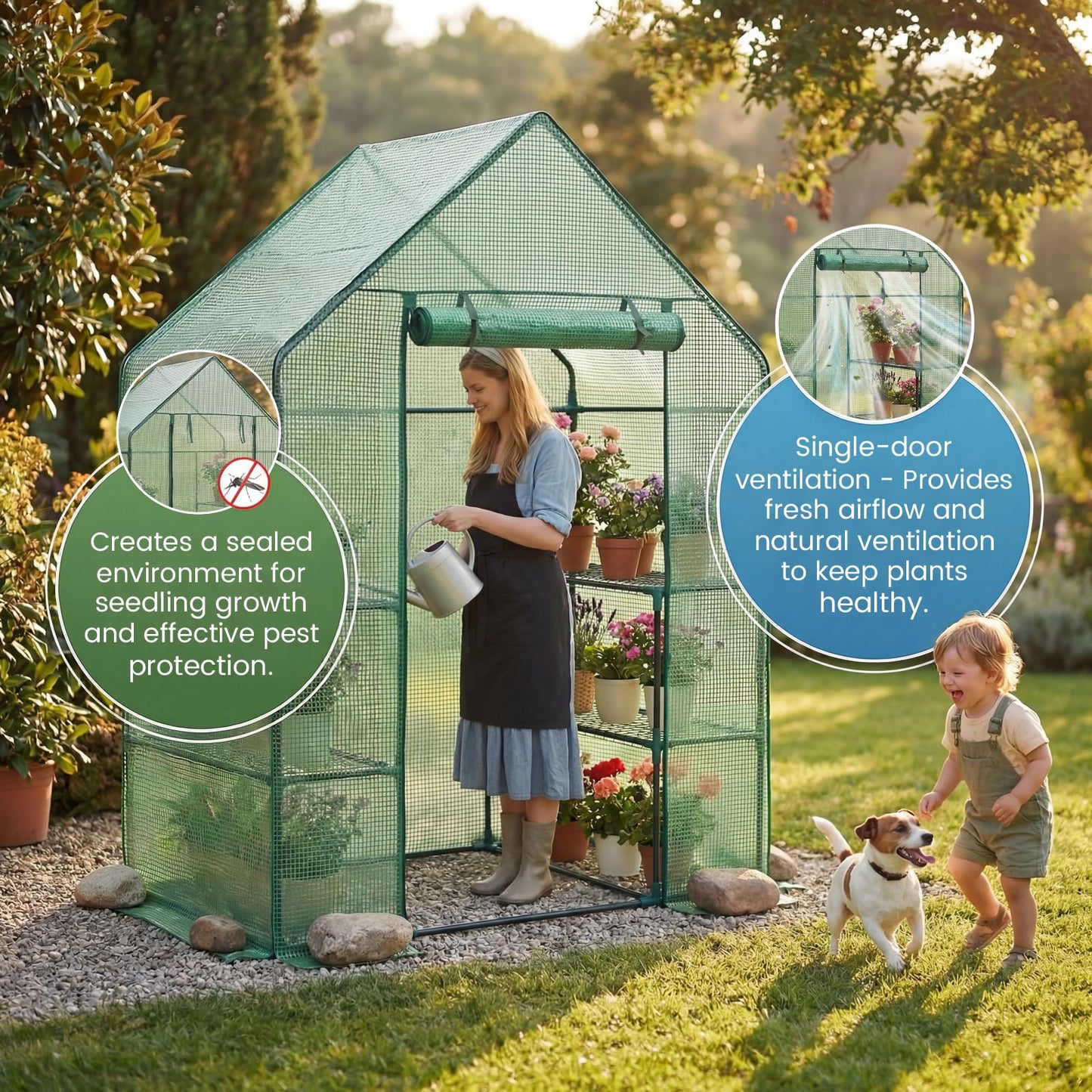 Greenhouse for Outdoors,55 x 28 x 78'' Small Greenhouse,Walk in Plant Greenhouses with 3 Tiers 6 Shelves,Heavy Duty with Durable PE Cover,Heavy Duty Plant Greenhouses for Garden and Backyard