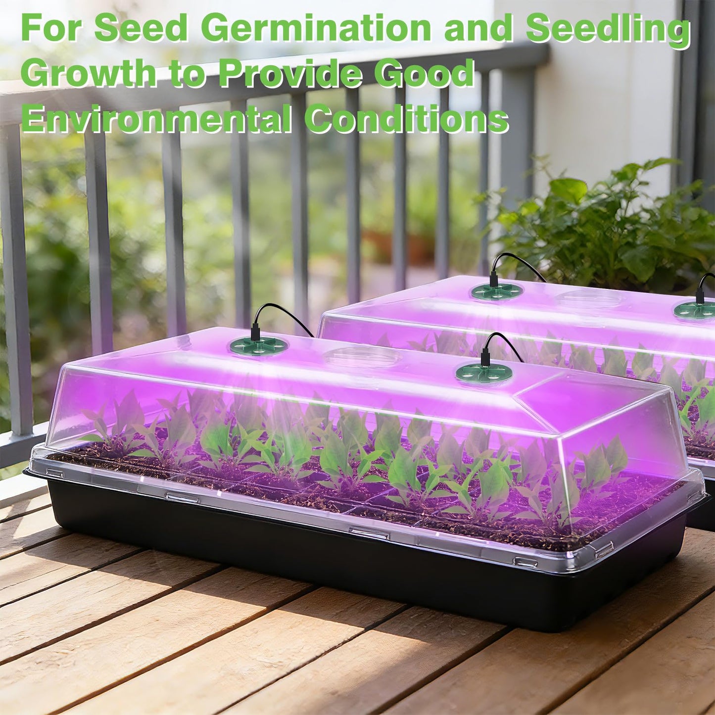 2 Pack Grow Lights for Indoor Plants for Growing Trays Cover, LED Growing Lamp Red Yellow Blue Full Spectrum for Seedlings with 5-Level Dimmable, Auto On Off Timer 4 8 12 18 Hrs for Small Plants