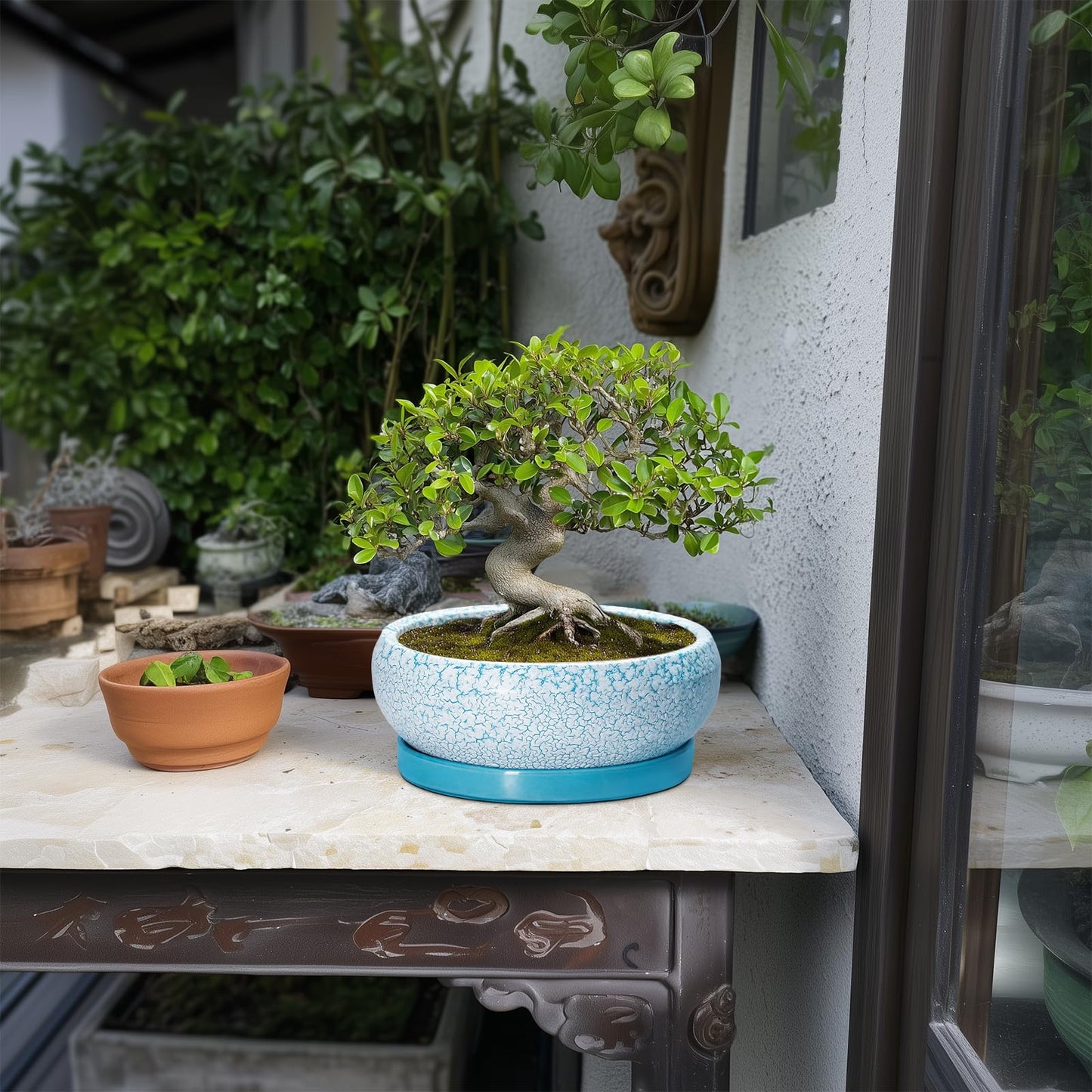 EPFamily Succulent Pots 8 Inch - Ceramic Bonsai Pots with Drainage Hole and Saucer, Succulent Planters for Indoor Plants Outdoor, Round Shallow Planter Bowl, Porch Decor, Gardening Gifts, Blue