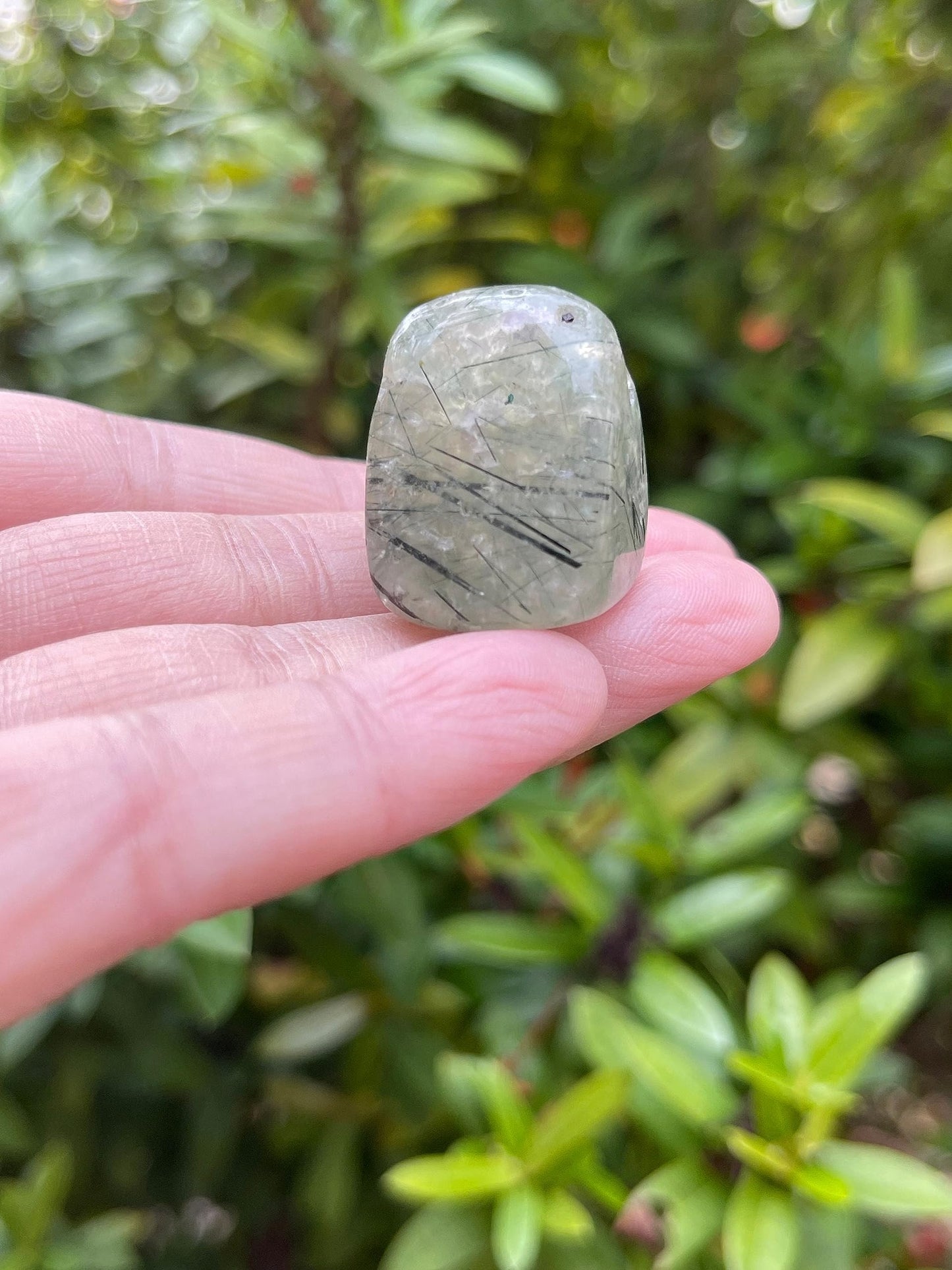 GAF TREASURES 5 Pcs Prehnite with Rutile Tumbled Stones, Polished Natural Prehnite with Rutile Gemstone, Prehnite with Rutile Healing Crystals (Prehnite with Rutile)