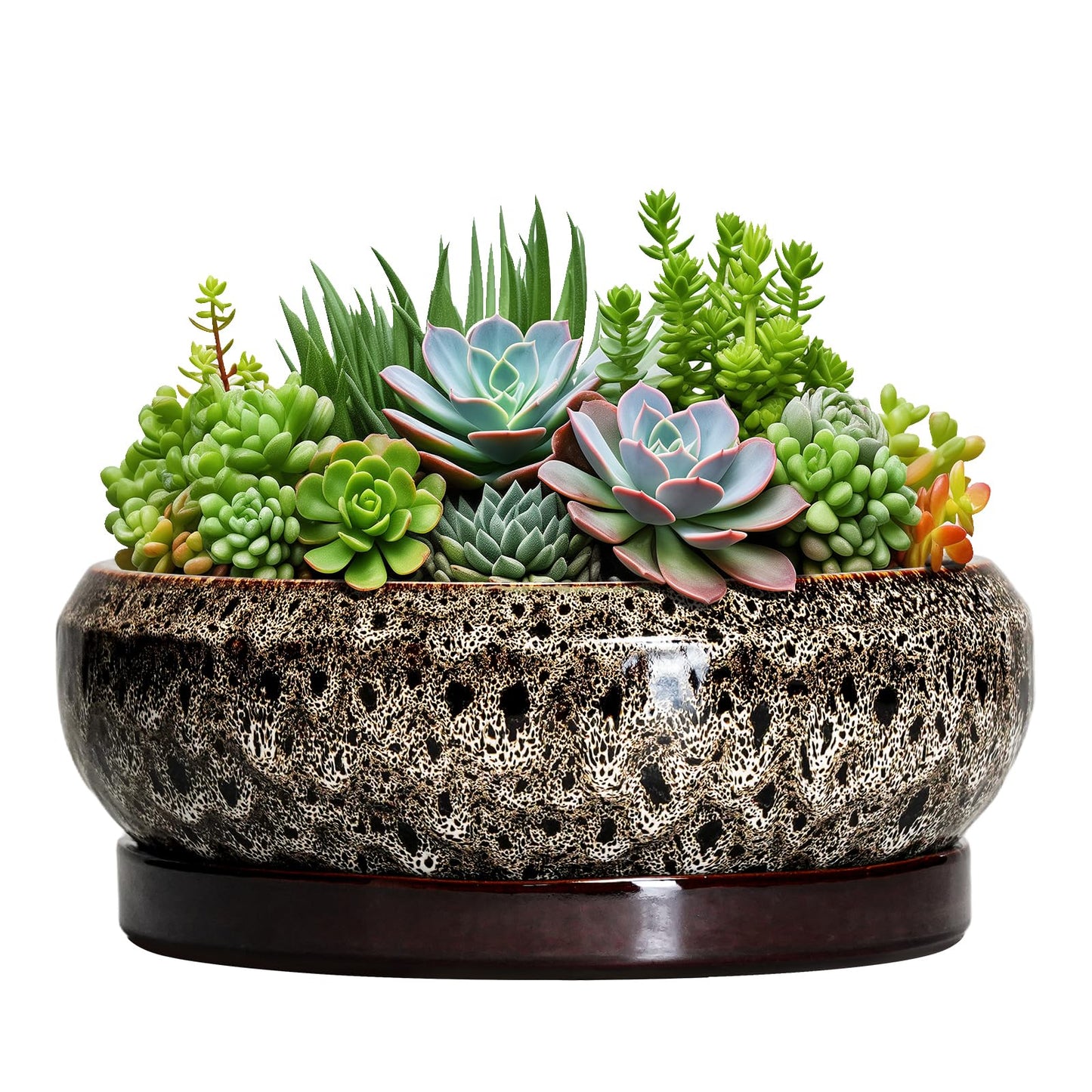 EPFamily Succulent Pots 10 Inch - Ceramic Bonsai Pots with Drainage Hole and Tray, Large Succulent Planters, Shallow Planter Indoor, Round Planter Bowl, Window Decor, Gifts for Plant Lovers, White