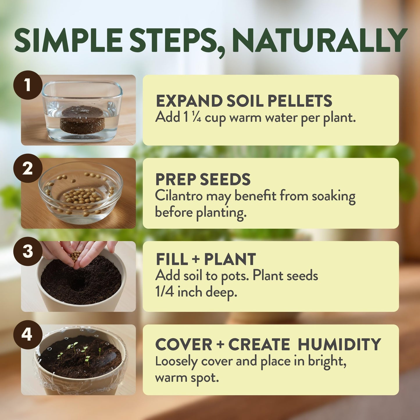 HOME GROWN Indoor Organic Herb Garden Kit, Unique Valentines Day Gift for Adults, Men, & Women,Grow 4 Herb Seeds for Kitchen Window Garden,Beginner DIY Hobby Gardening Gift for Plant Lovers, Mom & Dad