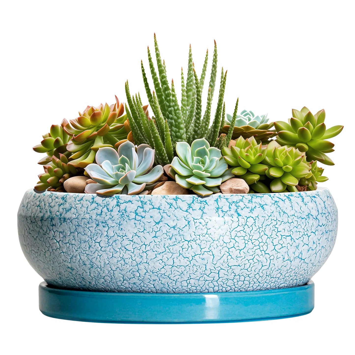 EPFamily Succulent Pots 8 Inch - Ceramic Bonsai Pots with Drainage Hole and Saucer, Succulent Planters for Indoor Plants Outdoor, Round Shallow Planter Bowl, Porch Decor, Gardening Gifts, Blue