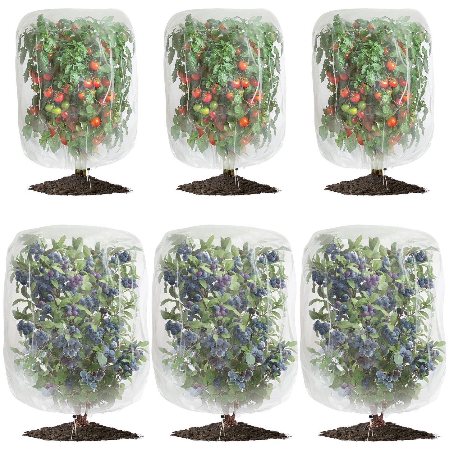 6 Pack Garden Netting for Plants 2.6x3.3ft - 3.3x4.9ft Mesh Fruit Tree Blueberry Pest Barrier Bug Netting with Drawstring 2-Size Insect Bird Netting for Tomato Vegetable Net