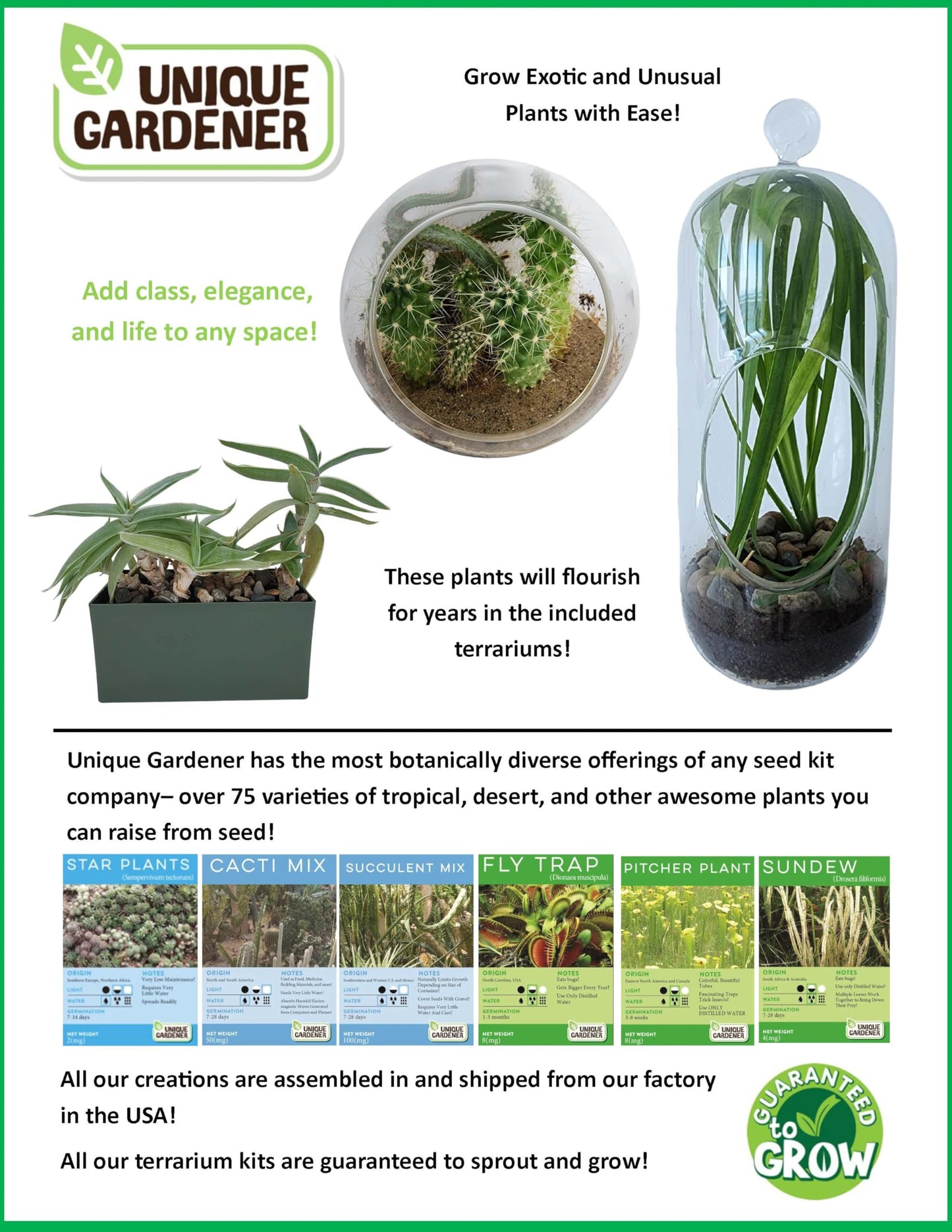 Grow Your Own Aloe Plant - Nurture Your Own Altruistic Aloe Plant Terrarium Starter Kit with Complete Supplies for Easy-to-Grow Indoor Succulents - Just Add Water