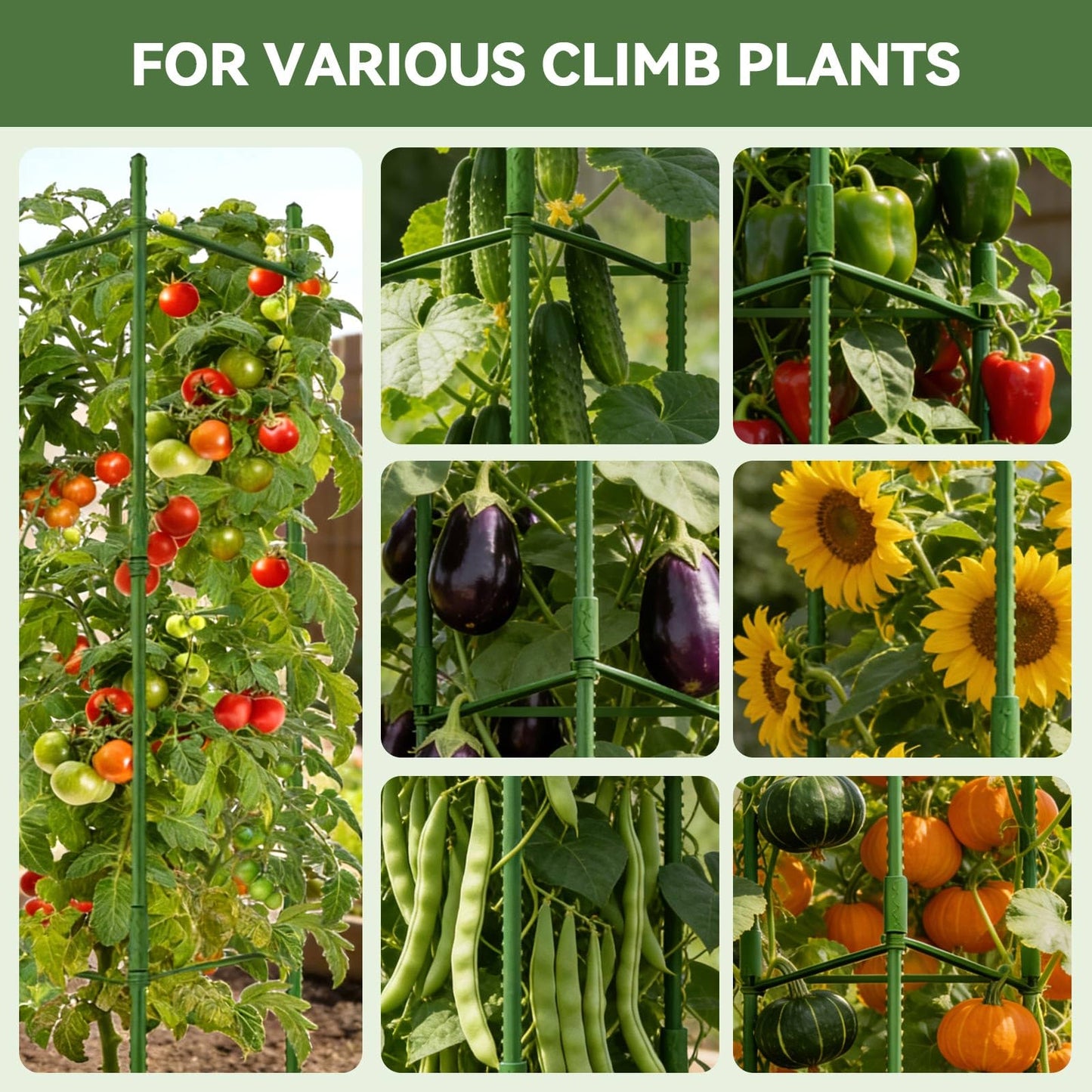 Halatool 63 Inch Tall Tomato Cages for Garden, 6 Pack Adjustable Tomato Cage, Garden Stakes Tomato Trellis for Pots, Tomato Plant Support for Raised Garden Bed &Vegetables Flowers
