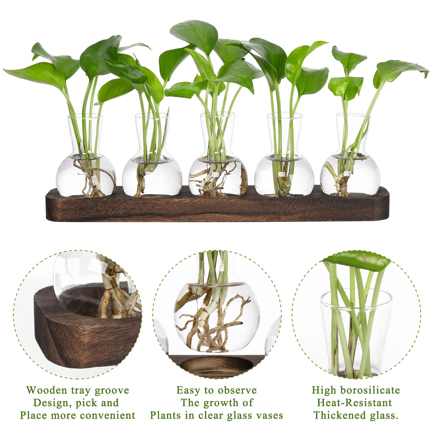 YIBOT Plant Propagation Stations,Glass Propagation Vases for Plants Terrarium with Wooden Tray Plant Lover Gifts for Propagating Hydroponic Plants Home Office Decor(5 Vase)
