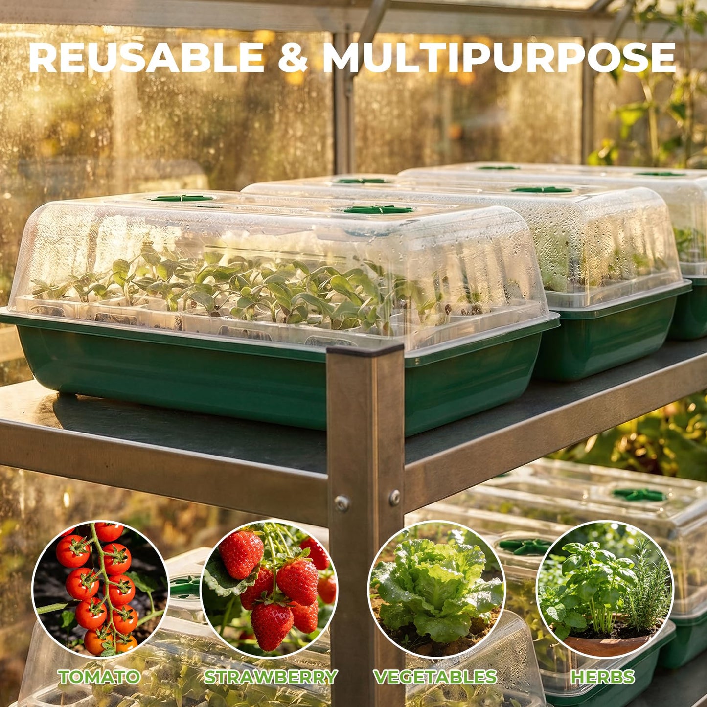 HIRALIY Seed Starter Tray Kits, Reusable Plant Germination Trays, Easy Transplanting, with Humidity Domes and Bases (Green, 40-Cells)
