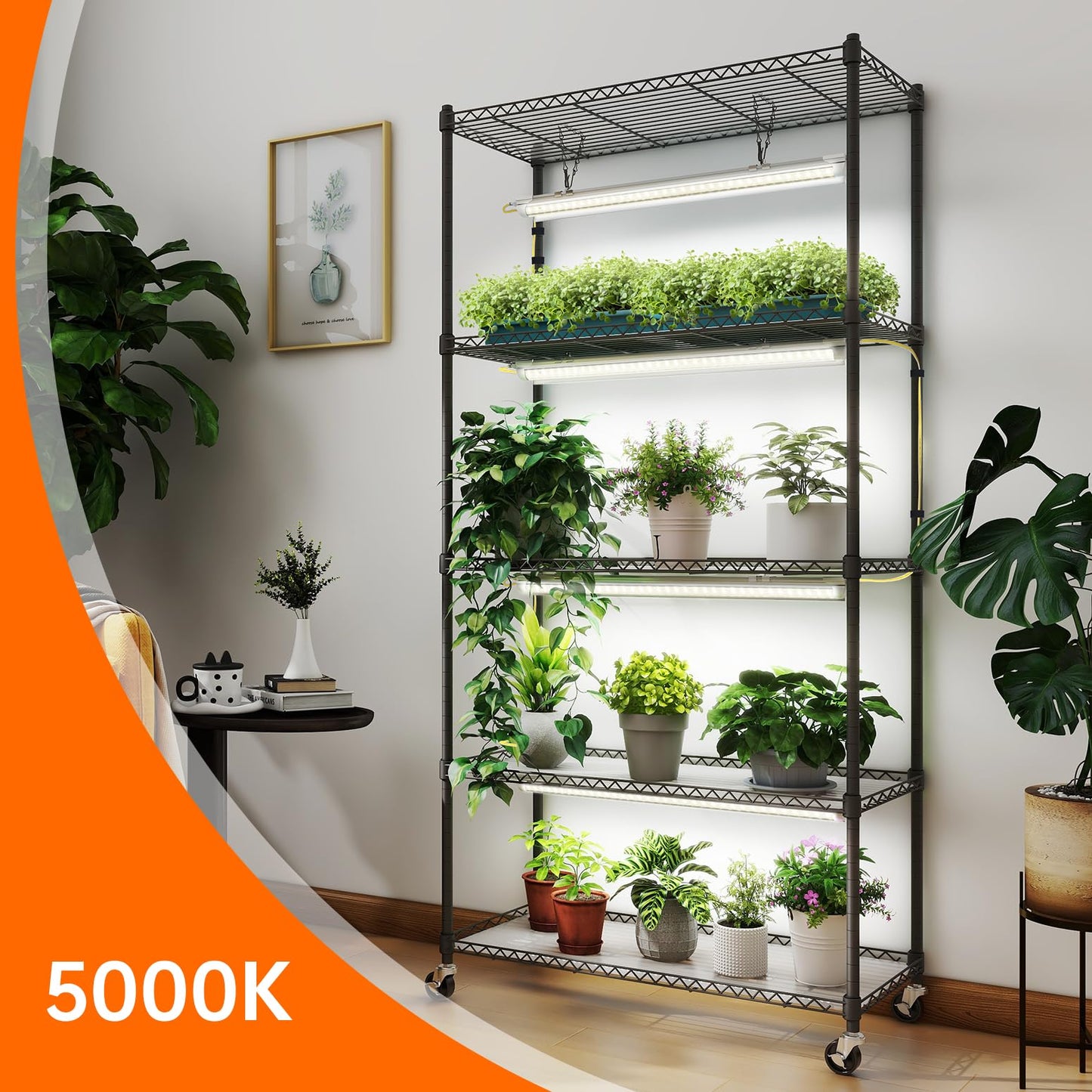 Bstrip Plant Shelf with Grow Light, 5-Tier Plant Stand with T8 24W Grow Light for Indoor Plants with Wheel, Grow Light Shelf with Timer for Indoor Plant, Seedling, Seed Starting, 29.5x13.8x59IN
