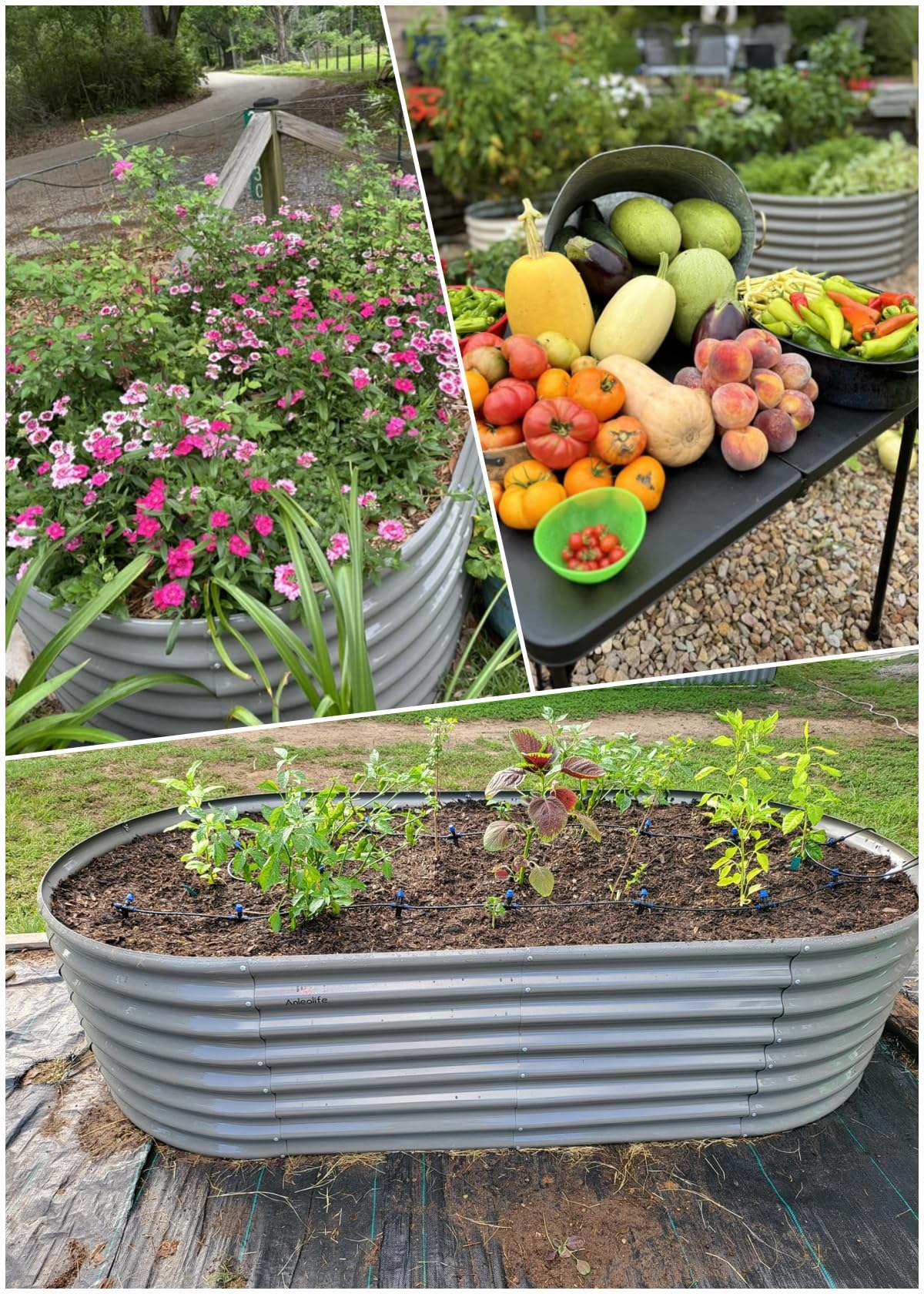 A ANLEOLIFE 12-Set 8X4X2 ft Galvanized Raised Garden Bed Kit, Oval Metal Deep Root Planters for Outdoor Plants, Quartz Grey