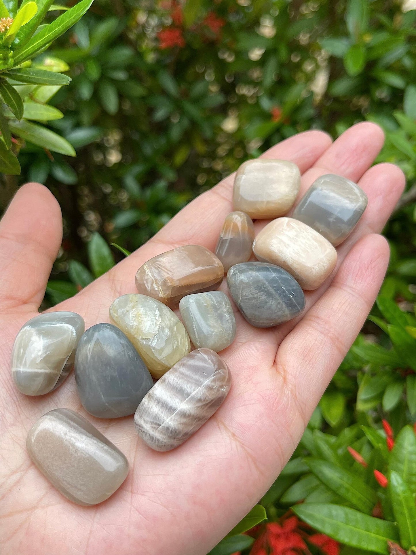 GAF TREASURES 5 Pcs Moonstone Multi Tumbled Stones, Polished Natural Moonstone Multi Gemstone, Moonstone Multi Healing Crystals (Moonstone Multi)