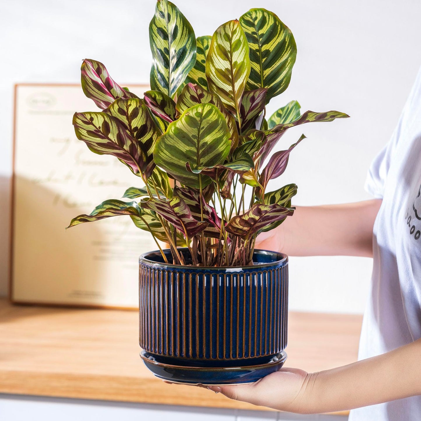 SURE YUESI Navy Blue Ceramic Plant Pots Set of 3 (4.3”+5.5”+6.7”), Indoor Striped Planters with Drainage Hole, Mesh Pads, Decorative Pots for Plants & Gardening