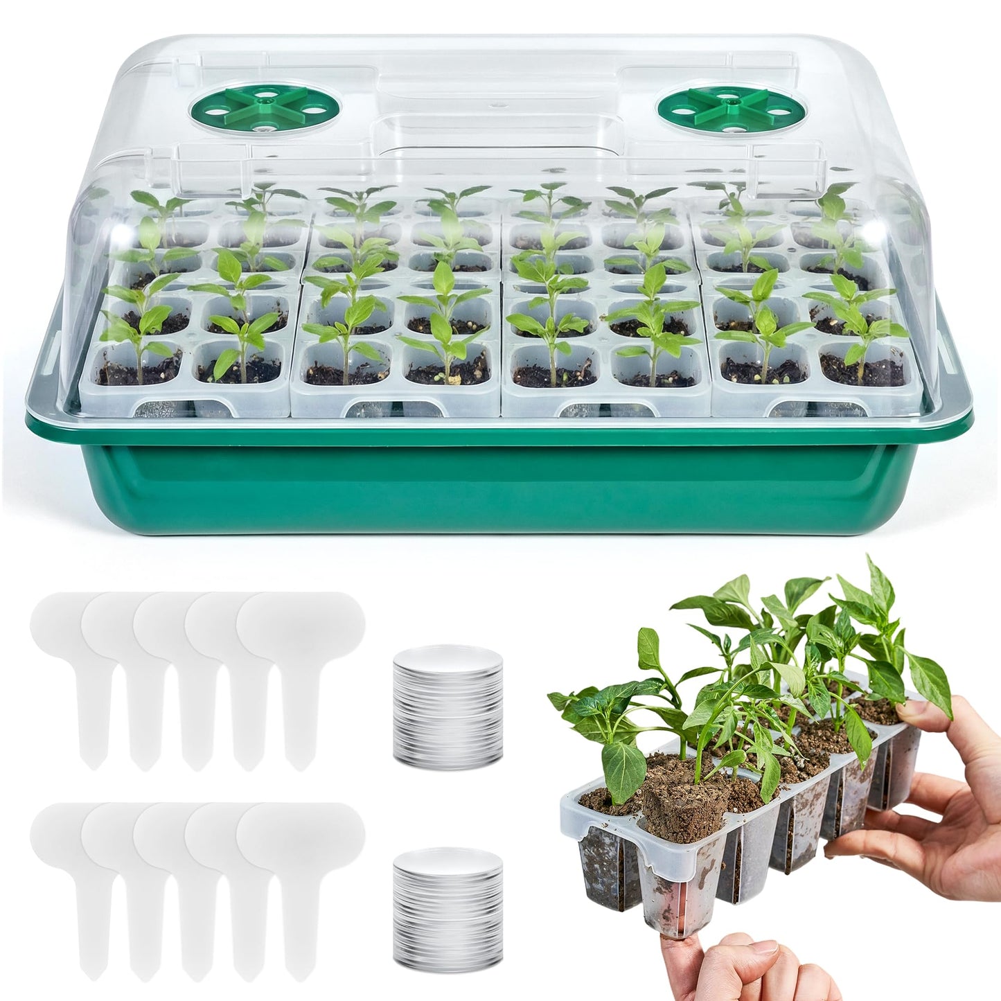 HIRALIY Seed Starter Tray Kits, Reusable Plant Germination Trays, Easy Transplanting, with Humidity Domes and Bases (Green, 40-Cells)