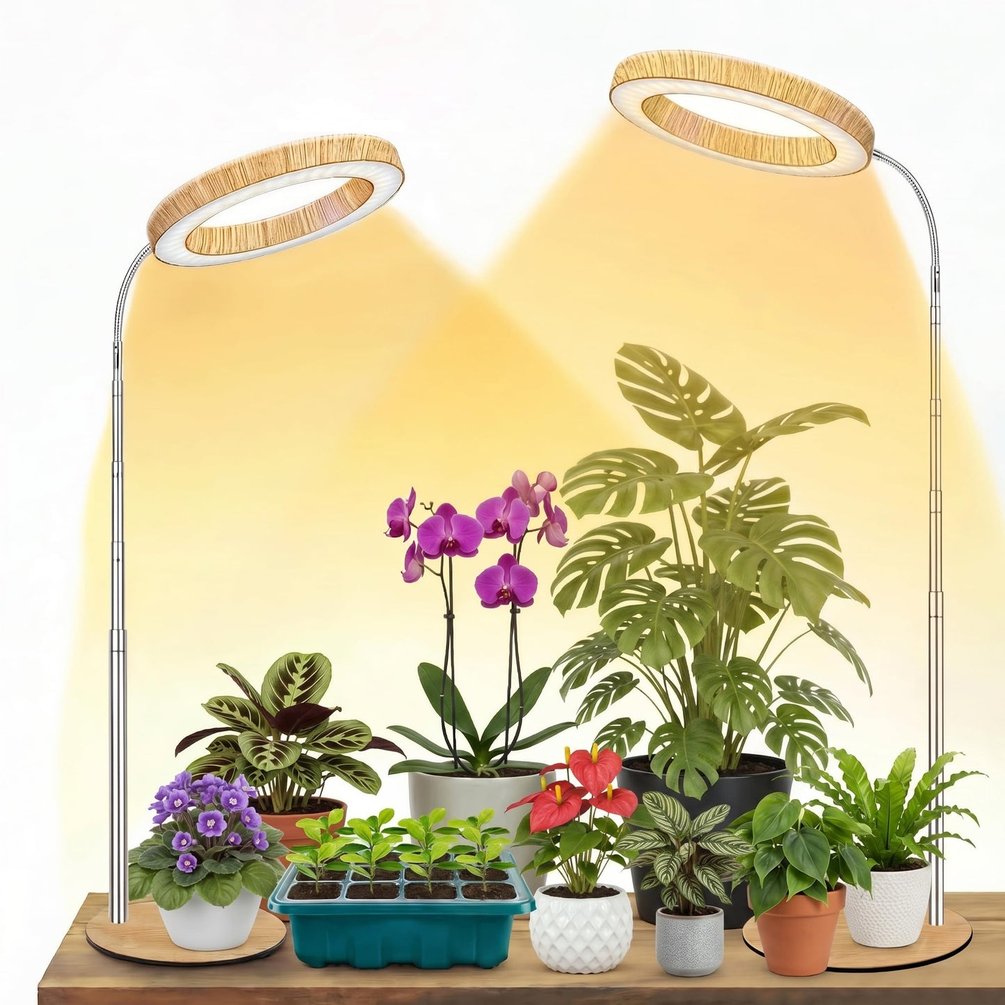 Grow Light for Indoor Plants Full Spectrum, Desk LED Plant Light with Faux Wood Grain, 12"-43" Height Adjustable, Auto On/Off Timer 3/9/12H, 3 Modes 10 Dimmable Levels for Succulents (2, Wood Grain)