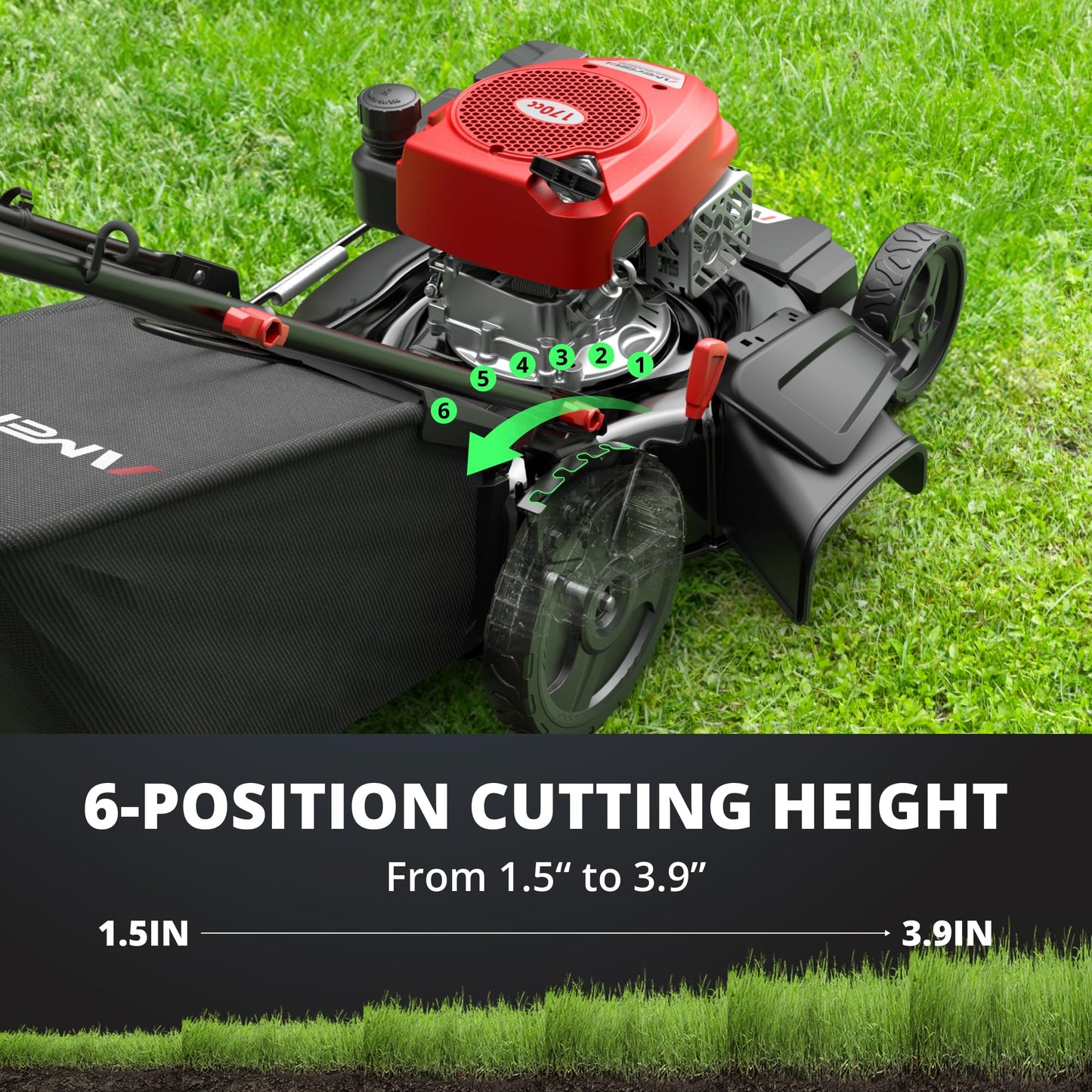AMERISUN Self-Propelled Gas Lawn Mower, 170cc OHV Engine with High-Velocity Cooling, 21" Steel Deck, 1.4-Bushel Grass Catcher, 6-Position Height Adjustment, 3-in-1 Mulching & Discharge System