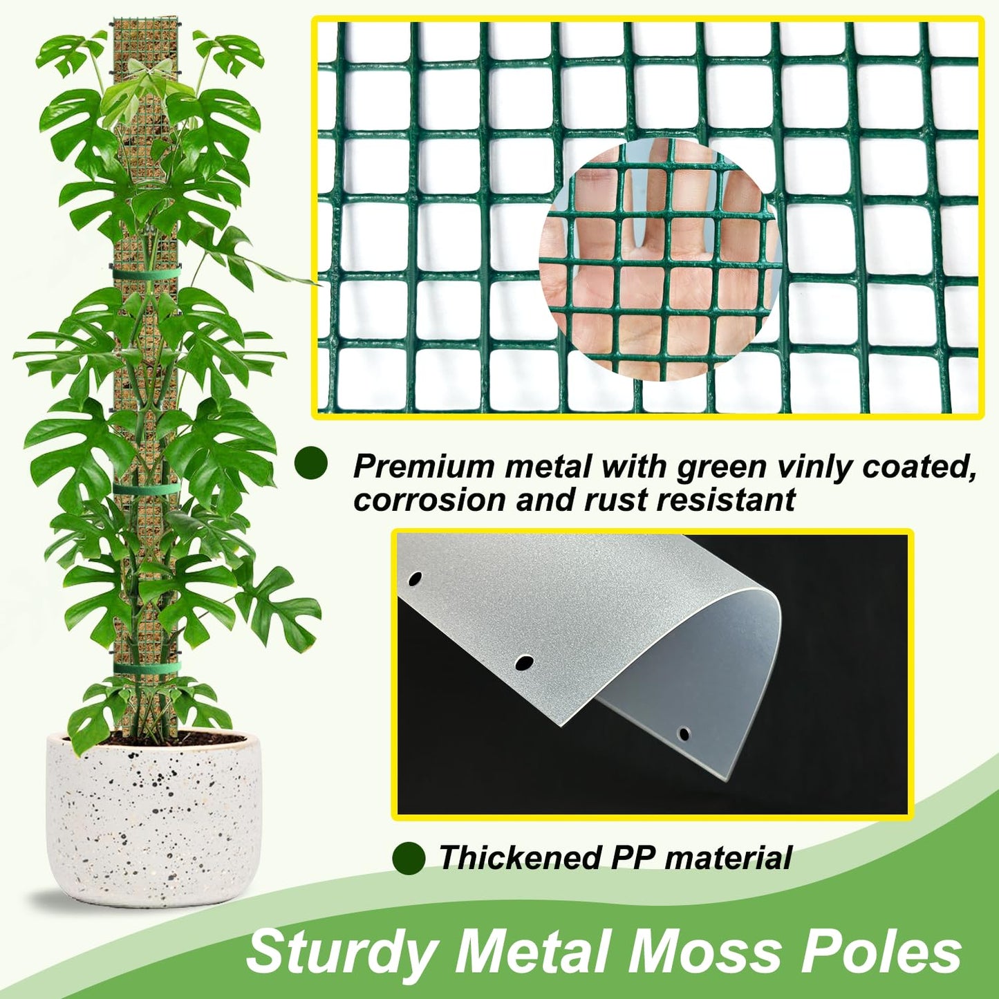 HOLANHING 60"/40"/24" Metal Moss Pole, D Shape Sphagnum Moss Pole, Moss Poles for Climbing Plants, Monstera, Indoor Climbing Plants (2 Each of 60" 40" 24")