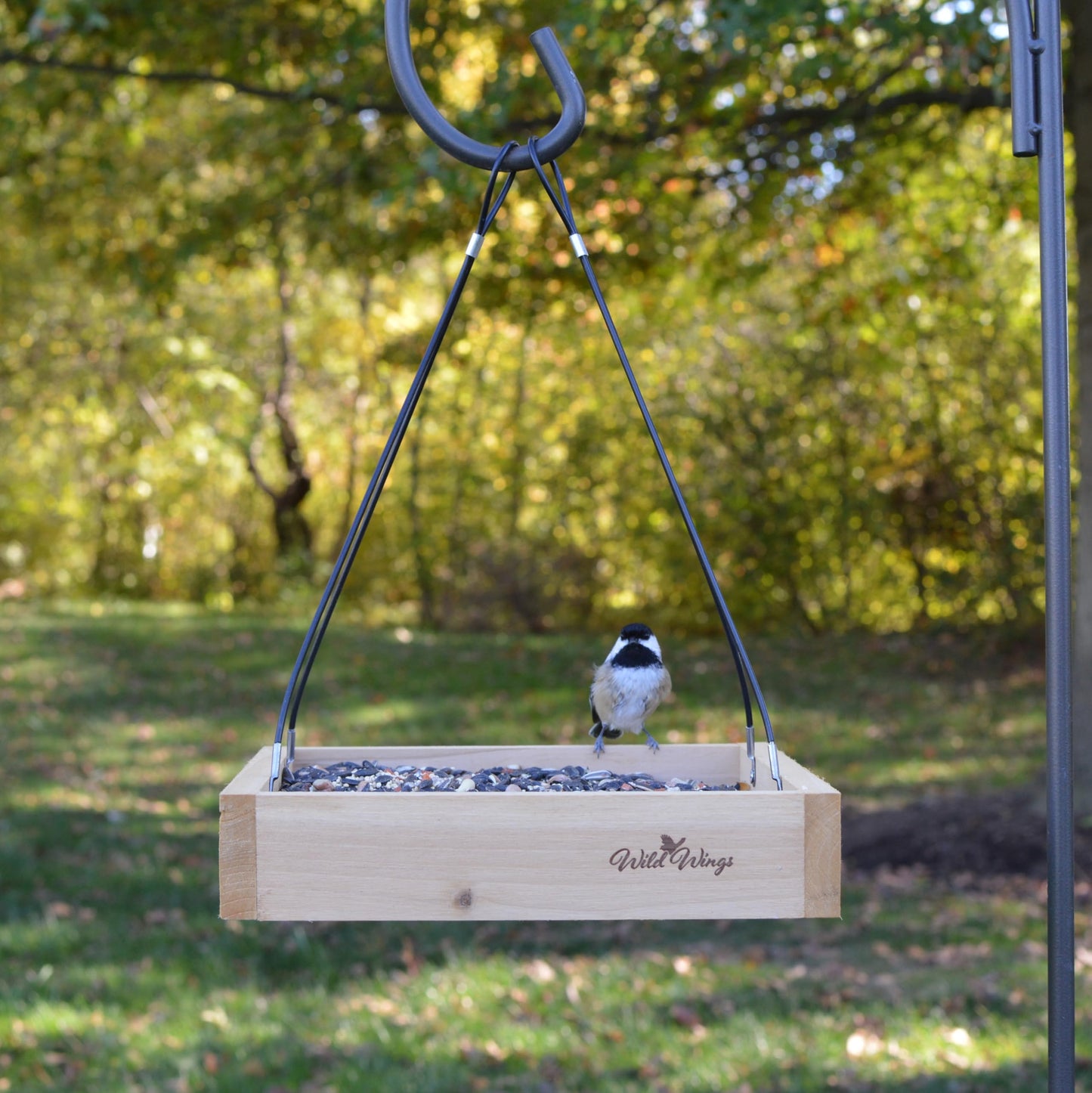 Wild Wings WWCF23 Rot Resistant Cedar Hanging Tray Bird Feeder with Fresh Seed Tray, Platform Feeder for Outdoor Wild Bird Seed Feeder and Décor, Wood