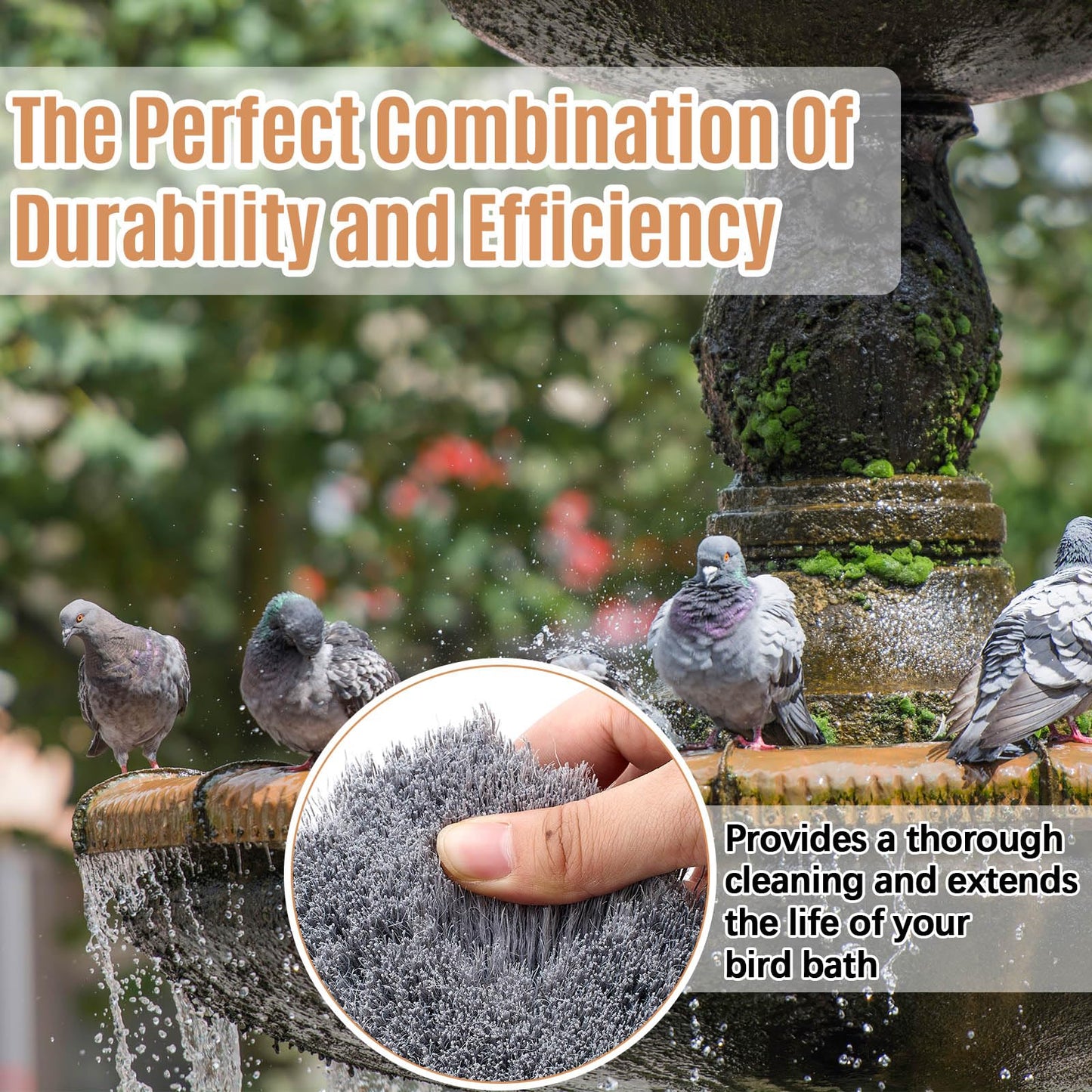CroBlissful 2 Pcs Bird Bath Cleaning Brush Hard Bristle Stiff Bristle Brush with Plastic Handle Utility Scrub for Bird Feeder Bath Accessories Fountain Outdoor Cleaning(Gray)