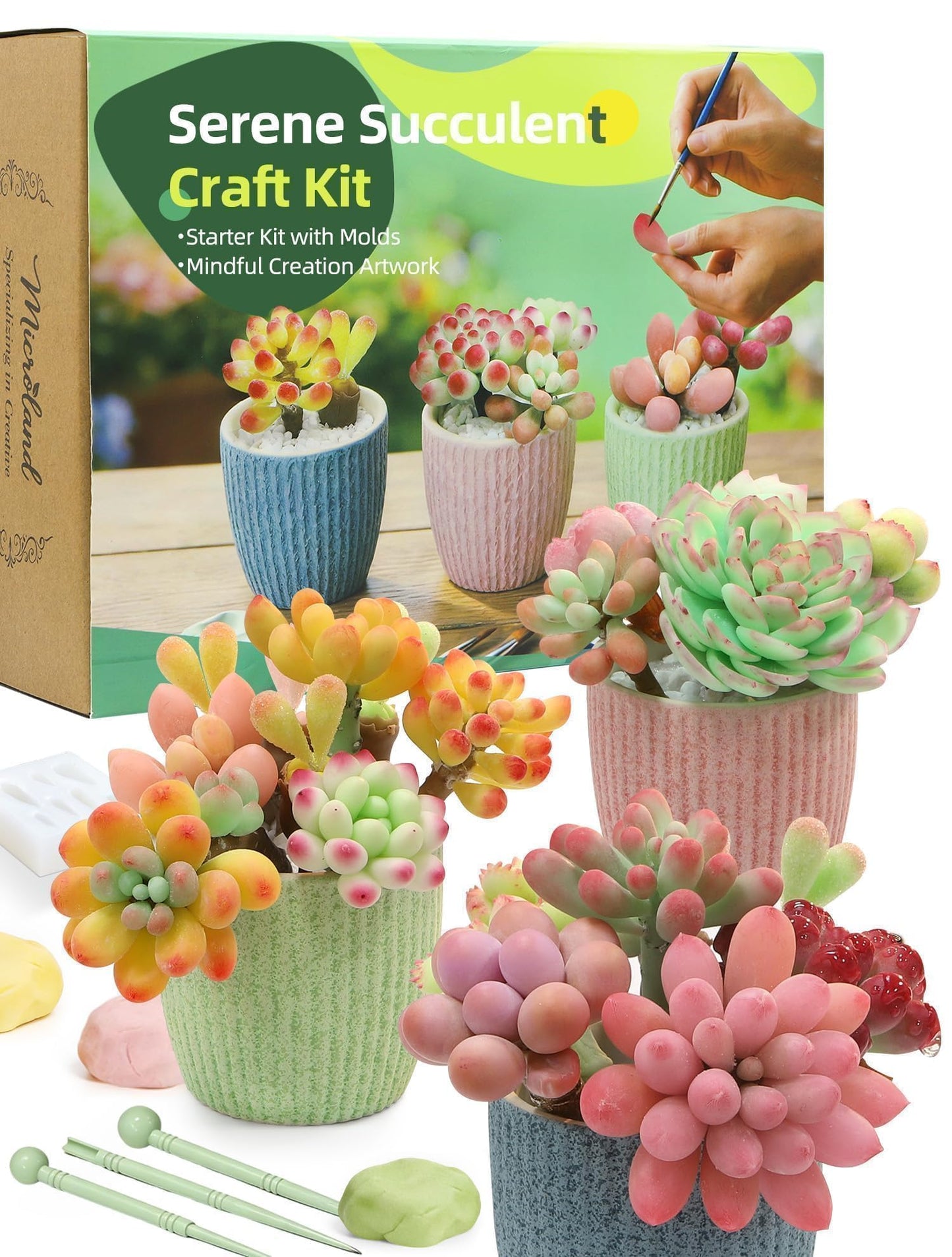 Microland Craft Kits for Teens Crafty Clay Kit for Succulents Flower Making Fun Adult Activities of Arts and Crafts Art Therapy Crafting Set Creative Gift for Artist Girl Mothers Day Gift for Mom Wife