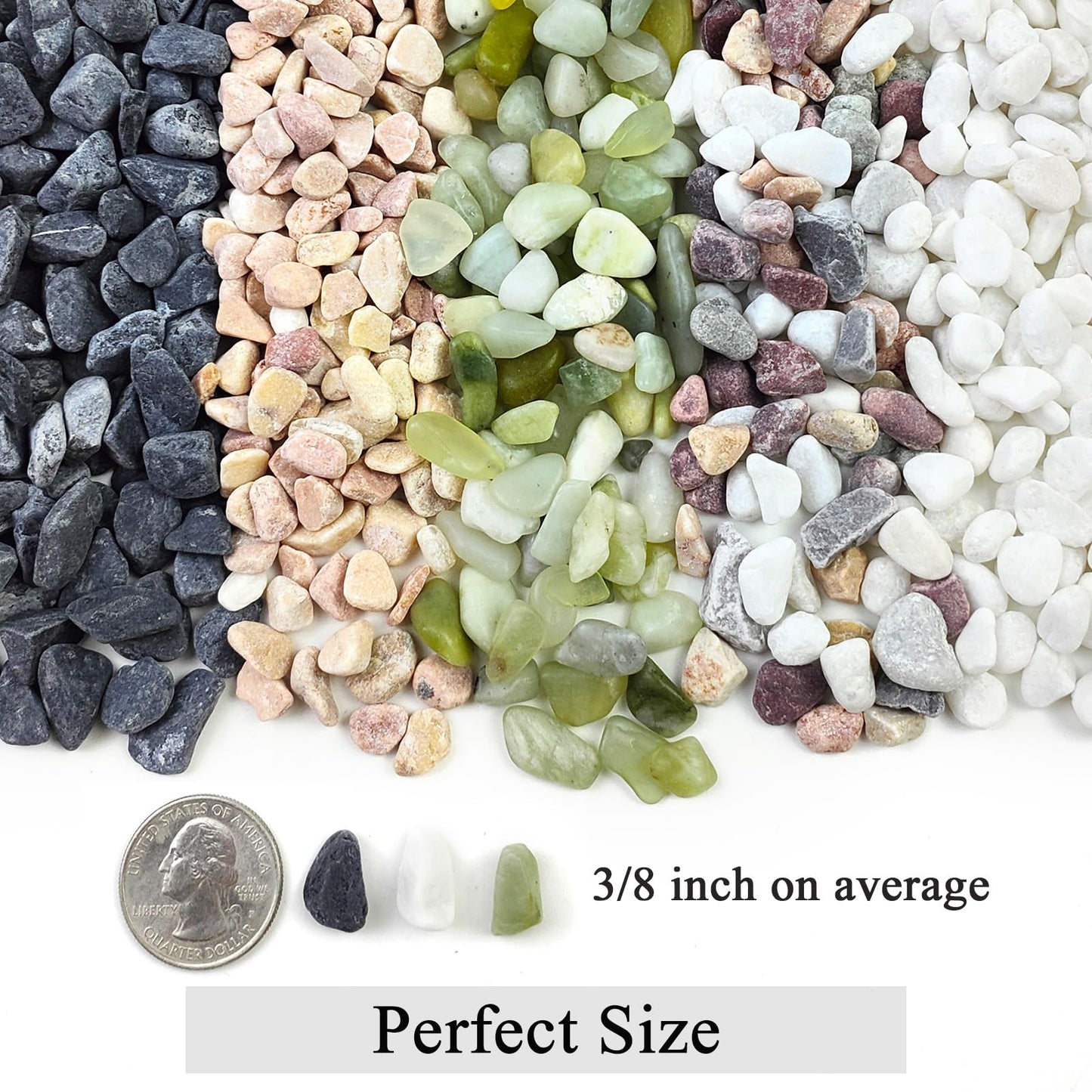FANTIAN 5lbs Natural White Pea Gravel Pebbles for Succulent Cactus, 3/8 Inch White Rocks for Plants Indoor, Vase Fillers, Bowl, Landscaping and Outdoor Garden Decorative White Stones