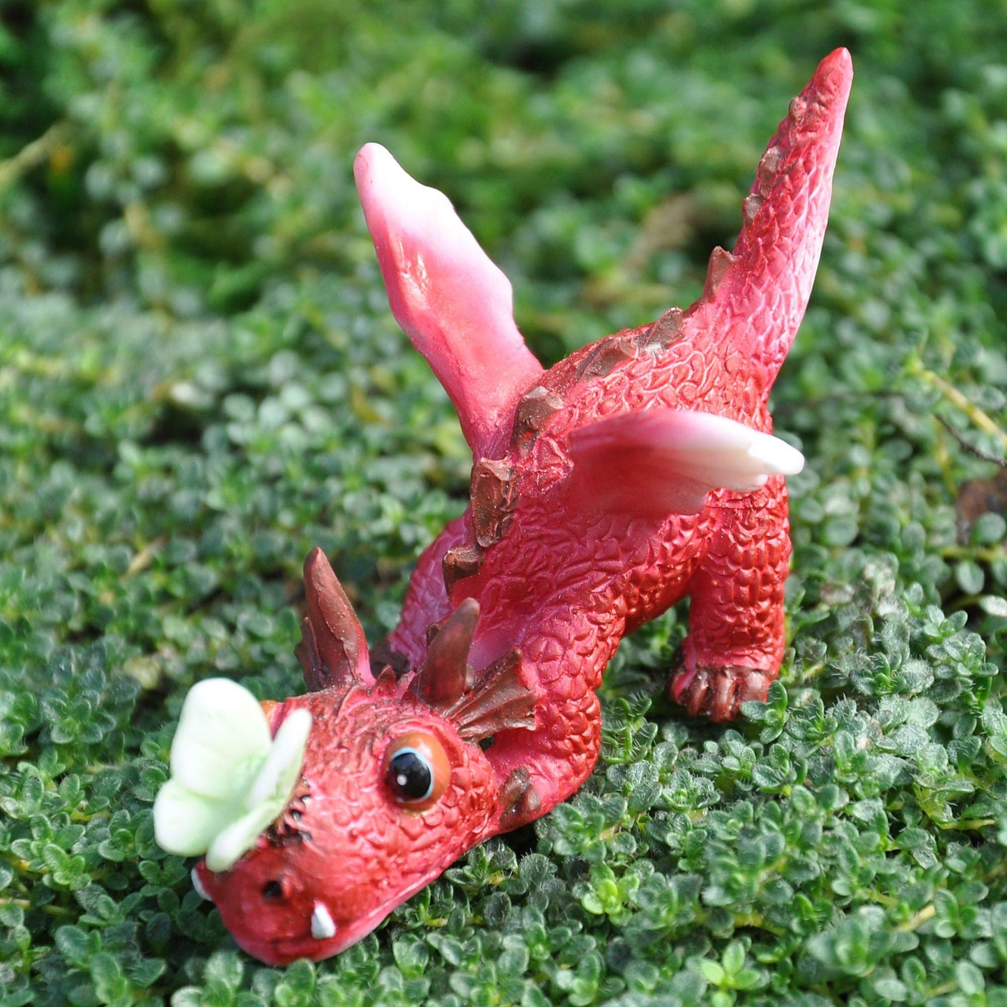 Top Collection Miniature Fairy Garden and Terrarium Mini Red Dragon Playing with Butterfly Figurine