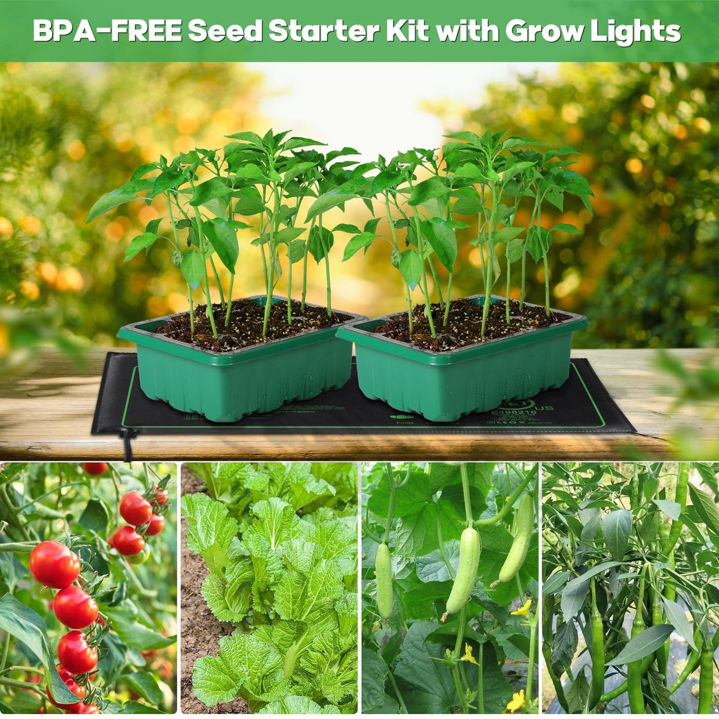 Seed Starter Trays with Grow Lights and Heat Mat, 72 Cells Seed Starter Kit with Lights, 3 Lighting Mode, 4 Timing Set, Germination Kit for Seed Starting Trays with High Humidity Control Domes
