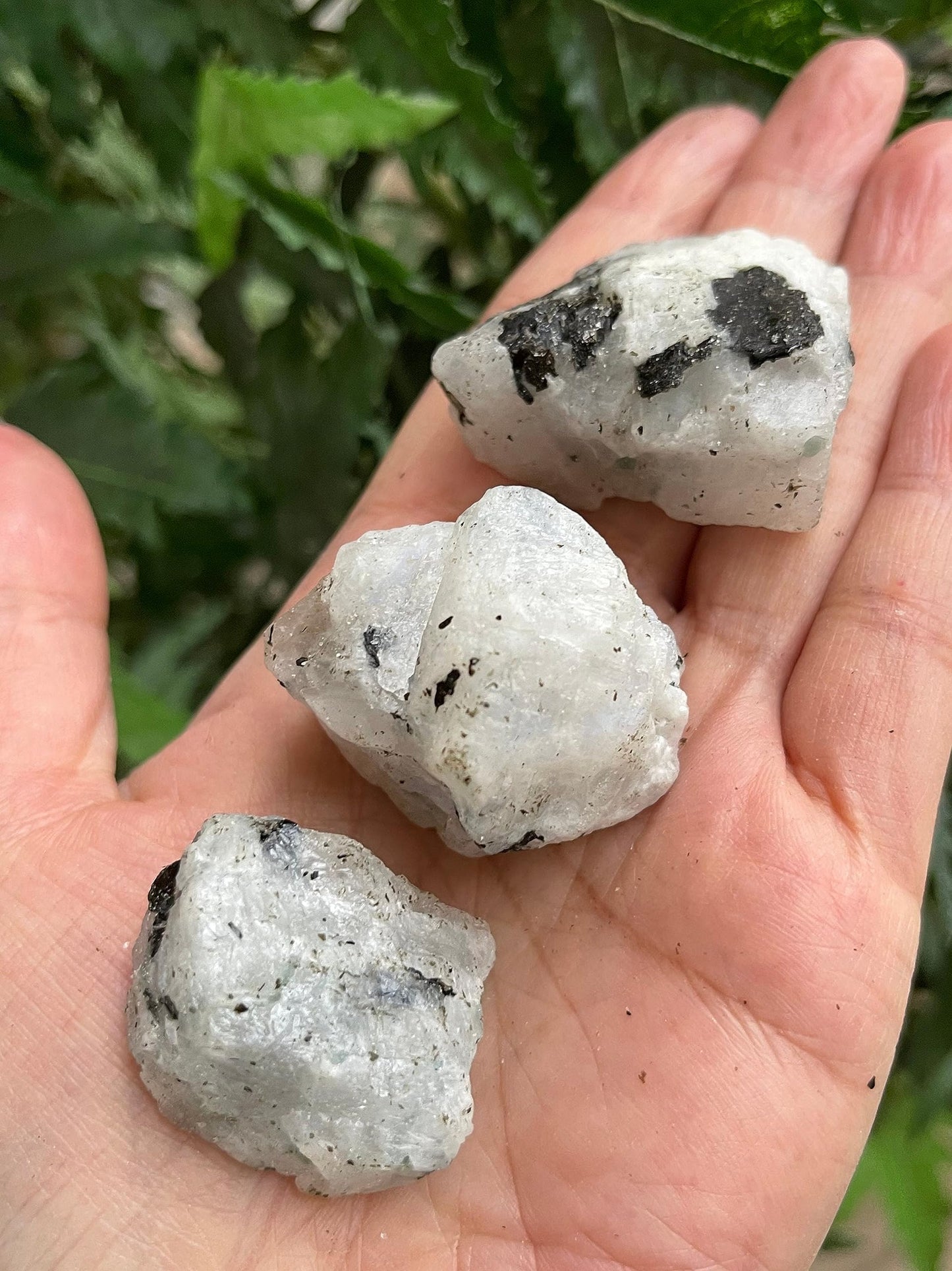GAF TREASURES Wholesale Raw Rainbow Moonstone Crystals, Natural Rainbow Moonstone Stone, Rainbow Moonstone Rough, Rainbow Moonstone Healing Crystals (Rainbow Moonstone, 0.25 Pound)
