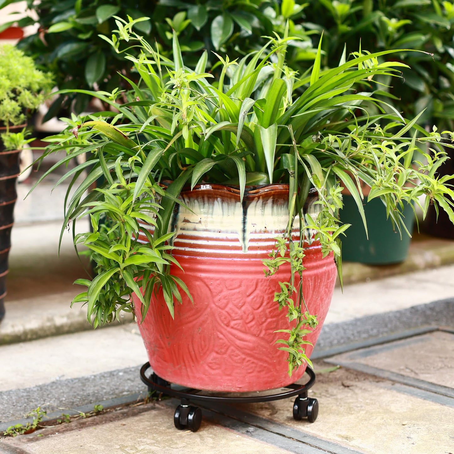 6 Packs Large Metal Plant Caddy 12" Heavy-duty Plant Dolly with PU Wheels Wrought Iron Rolling Plant Stand with Casters Indoor Outdoor Plant Pot Movers Planter Rollers Coaster Trolley, Black