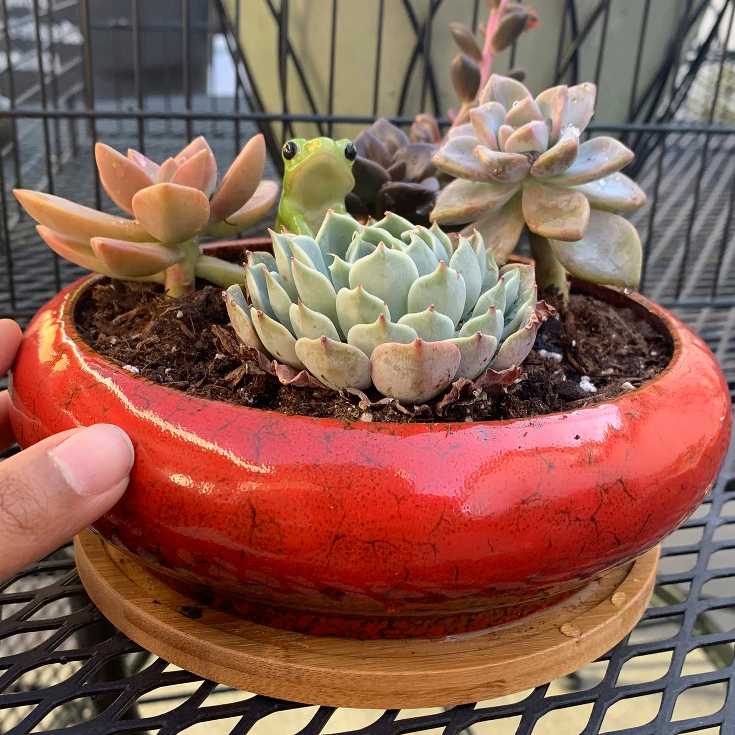 ARTKETTY Succulent Pots - 2 PCS Large Bonsai Pots with Drainage Tray, 7.3 Inch Shallow Planters for Indoor Plants Ceramic Cactus Plant Container Bowl for Home Office Desk