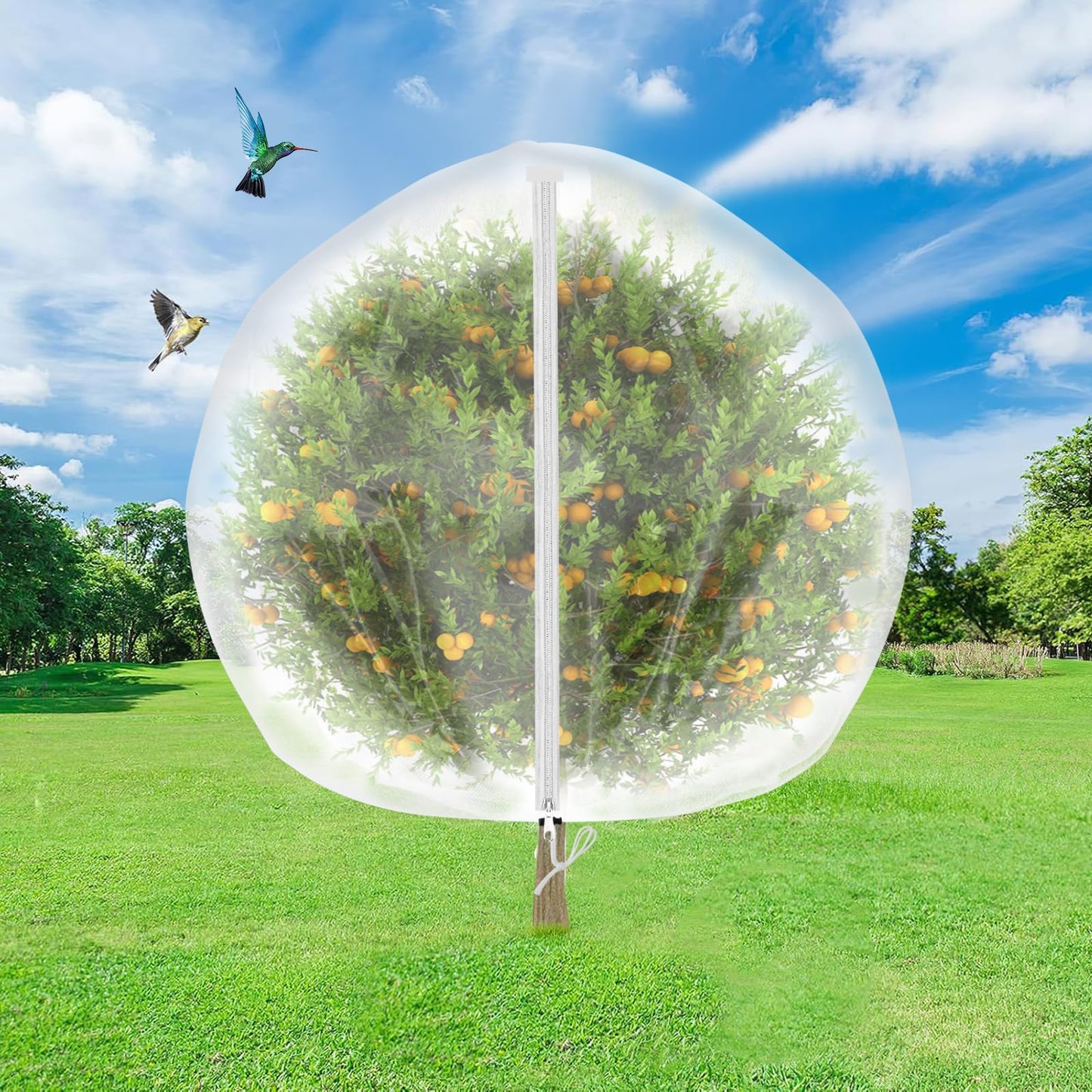 2 Pack Fruit Tree Netting Cover with Zipper and Drawstring, 6.6 x 6.6 Ft Bird Mesh Netting Barrier for Blueberry Bushes, Garden Plant Net Tree Protection Netting Cover for Apple Vegetables Fruits