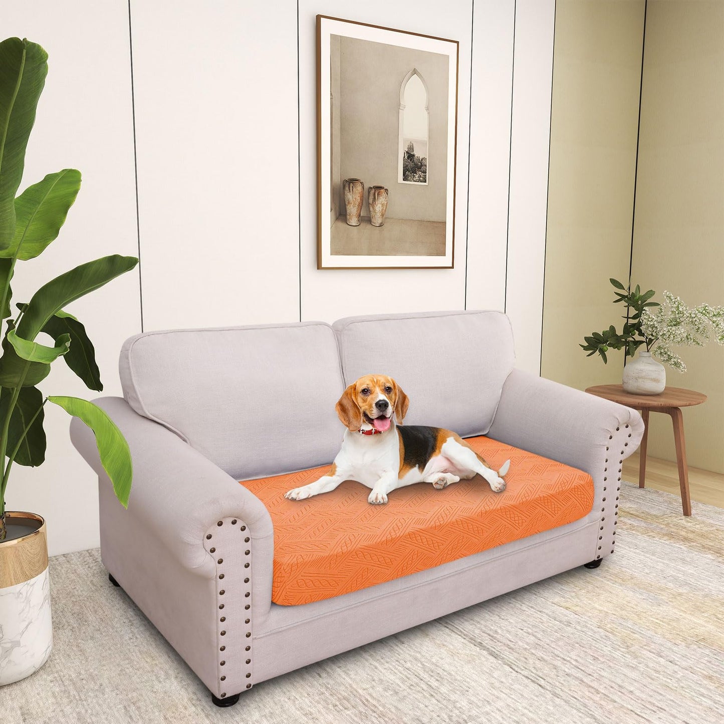 hyha Individual Couch Cushion Covers, Stretch Magic Sofa Seat Cushion Covers Washable, Dog Couch Sofa Slipcover for Pets, Kid with Elastic Bottom(Medium, Orange)