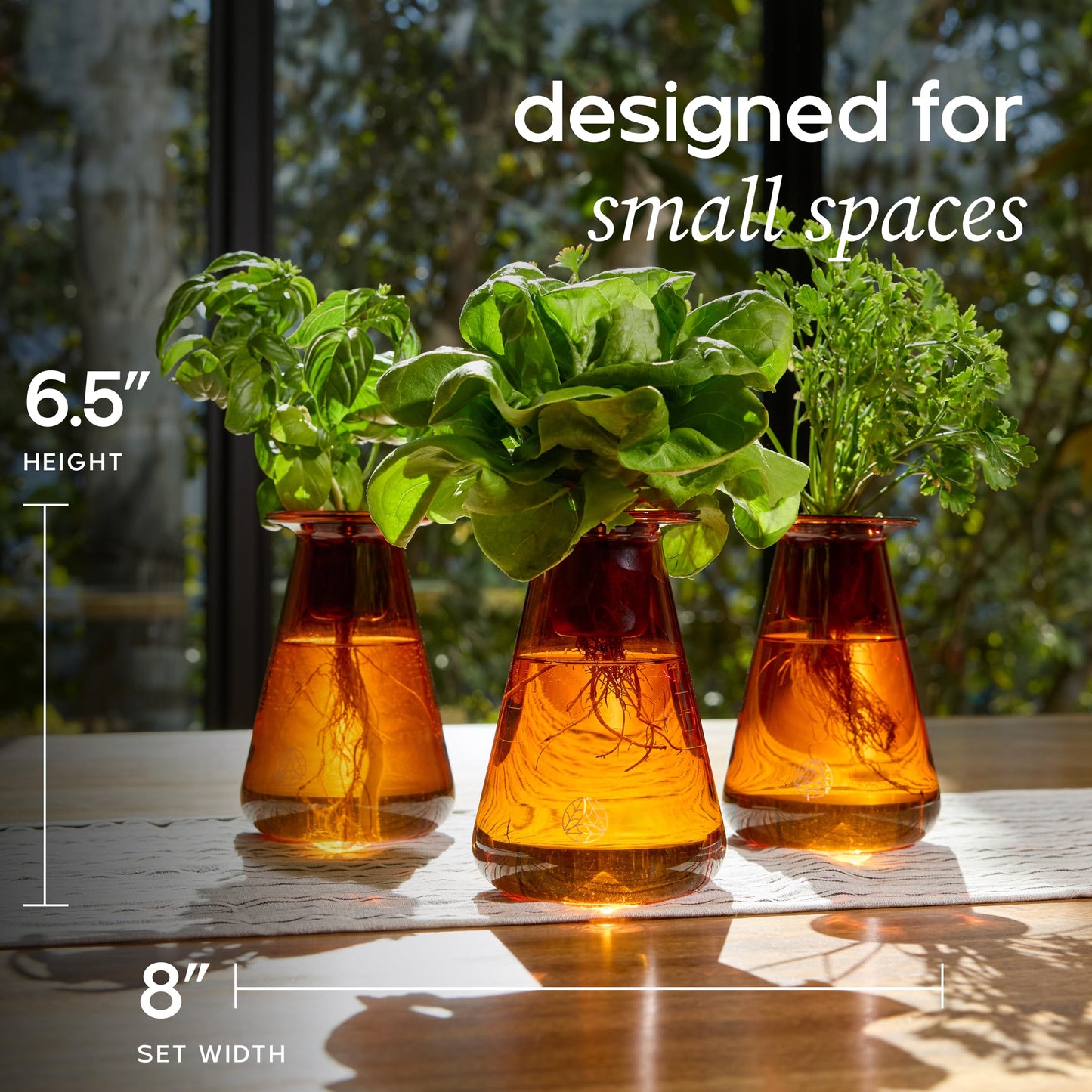 Lettuce Grow Counterstand Hydroponic Garden, Indoor Gardening System Hydroponics Growing System Kit, Herb Garden Planter Indoor Kit Countertop Vase Style No Grow Light