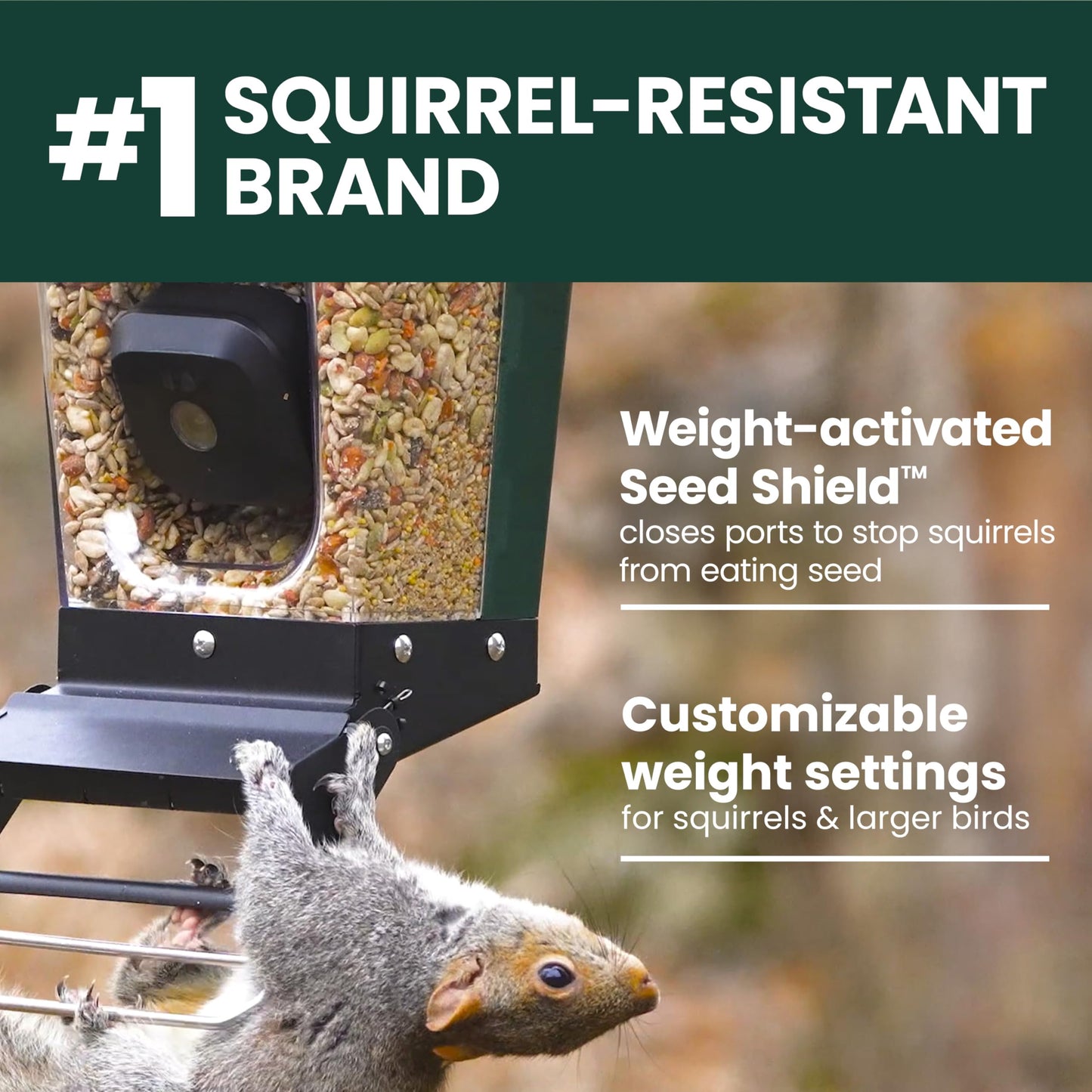 Perky-Pet Solar Powered Smart Bird Feeder with Camera - Squirrel-Resistant, 3.2L Capacity, Motion Activated 1080p HD WiFi Live Stream Camera, SPCAM, SPCAMSLR - Camera Feeder Gift Idea, Forest Green
