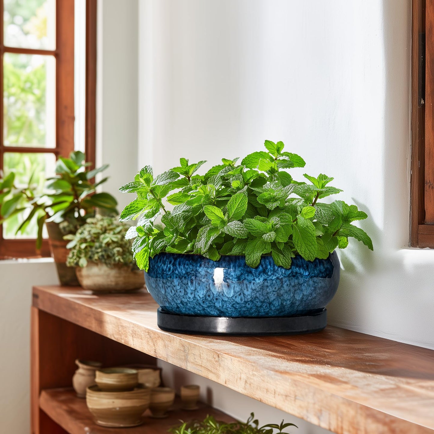 EPFamily Bonsai Tree Pots 10 Inch - Ceramic Succulent Pot with Drainage Hole and Saucer, Bonsai Pots for Indoor Outdoor, Round Succulent Planter, Shallow Planter, Desk Decor, Plant Lover Gifts, Blue