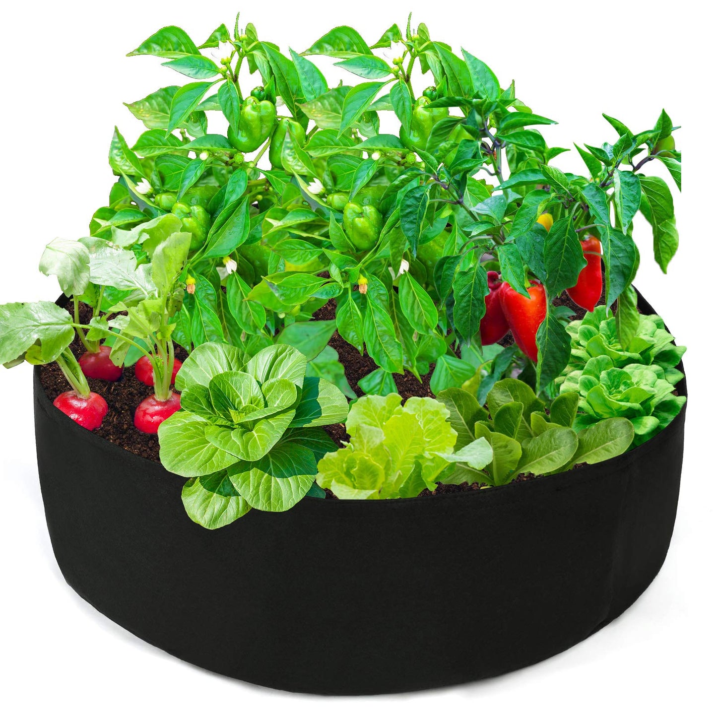 Firlar Fabric Raised Garden Bed, 15 Gallon Round Raised Bed Planter Grow Bag Garden Bed Bag for Plants, Herb, Flowers and Vegetables, Black (Dia 24 x H 8)