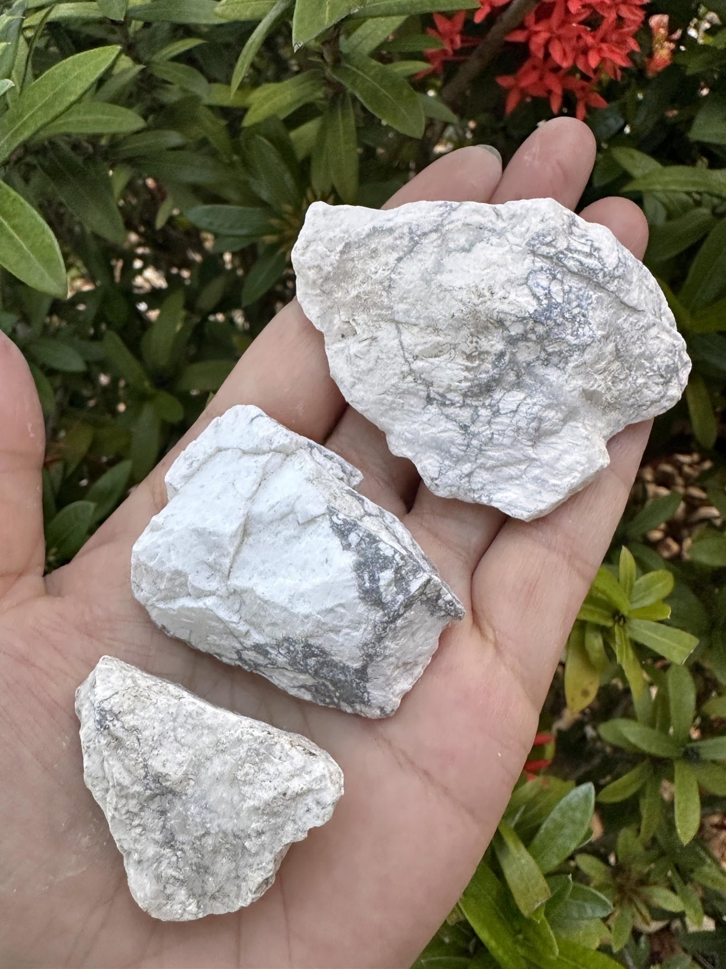GAF TREASURES Wholesale Raw White Howlite Crystals, Natural White Howlite Stone, Natural Rough White Howlite Crystals, White Howlite Rough, White Howlite Healing Crystals (White Howlite, 0.5 Pound)