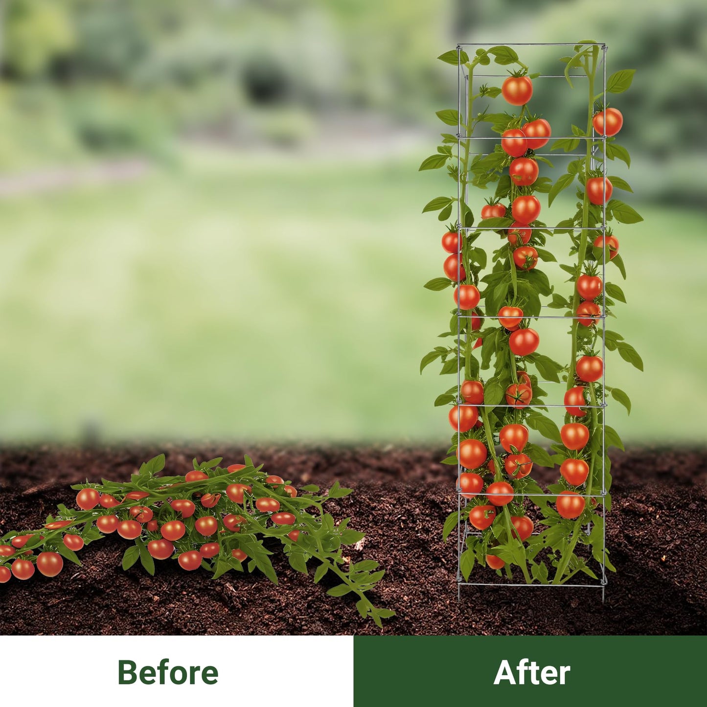 Toriexon Metal Foldable Tomato Cages 13" x 56", Square Tomato Cages Plant Support for Vegetable Garden, Heavy Duty Tall Tomato Cages for Beans, Tomatos, Cucumbers - 5 Pack