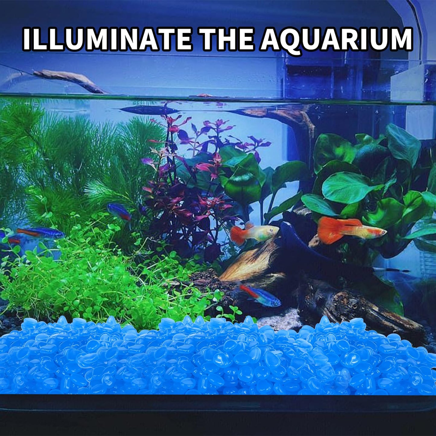 LECEHIVO 15000 Pcs Glow in The Dark Rocks Glowing Stones Glowing Fish Tank Pebbles Luminous Stone Glowing Stones for Garden Outdoor Patio Yard Landscaping Aquarium (Dark Blue)