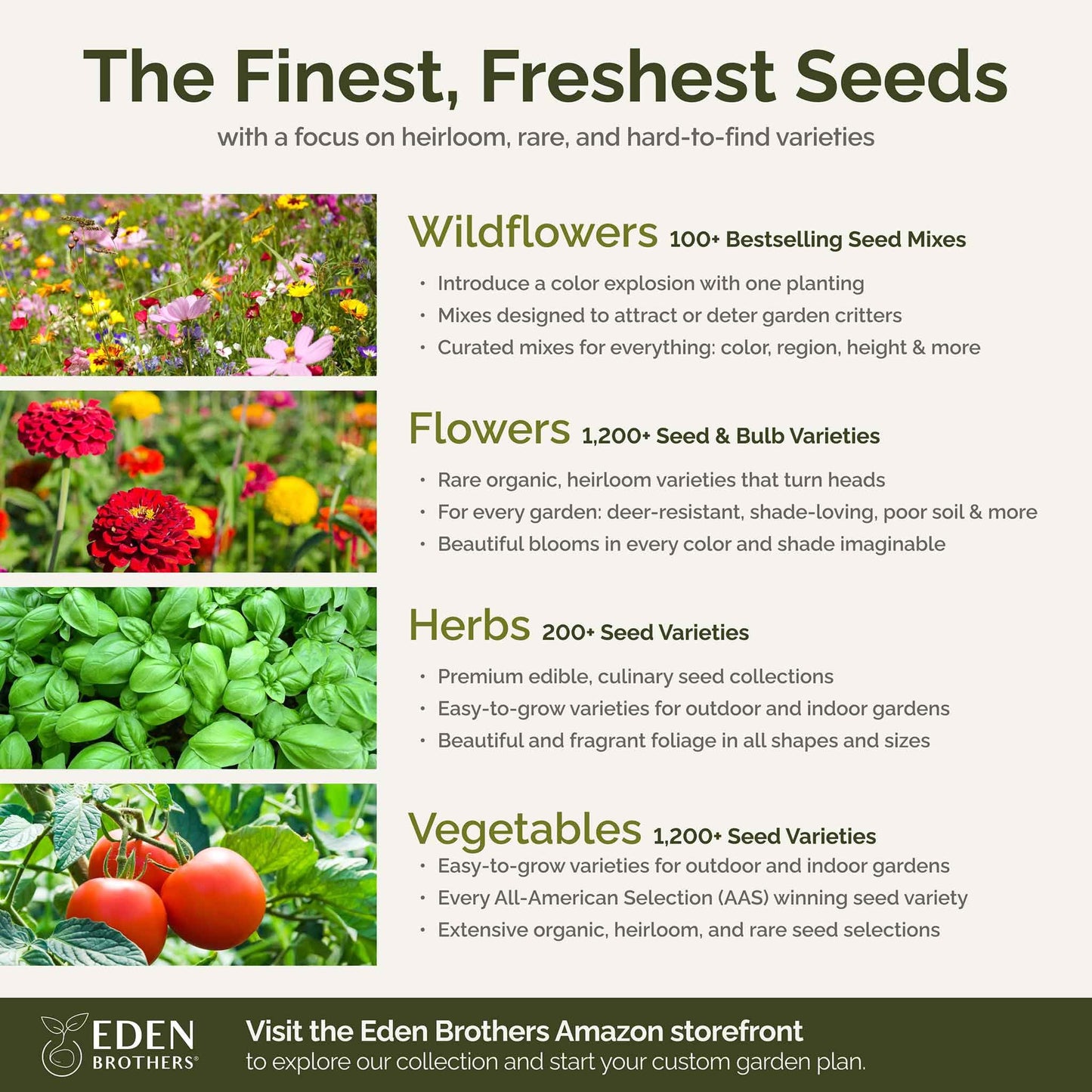 Eden Brothers Southeast Wildflower Mixed Seeds for Planting, 1/4 lb, 120,000+ Seeds with Cornflower, Blanket Flower | Attracts Pollinators, Plant in Spring or Fall, Zones 3, 4, 5, 6, 7, 8, 9, 10