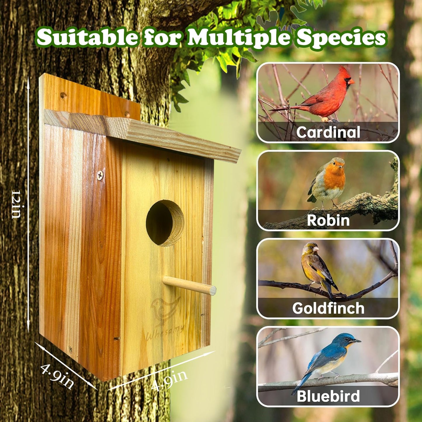 Whesamy Large Bird House, Bird Houses for Outside Clearance, Cedar Birdhouses for Outdoors, Wood Birdhouse with Secure Latch, Bluebird Houses for Wren Swallow Finch Hummingbird