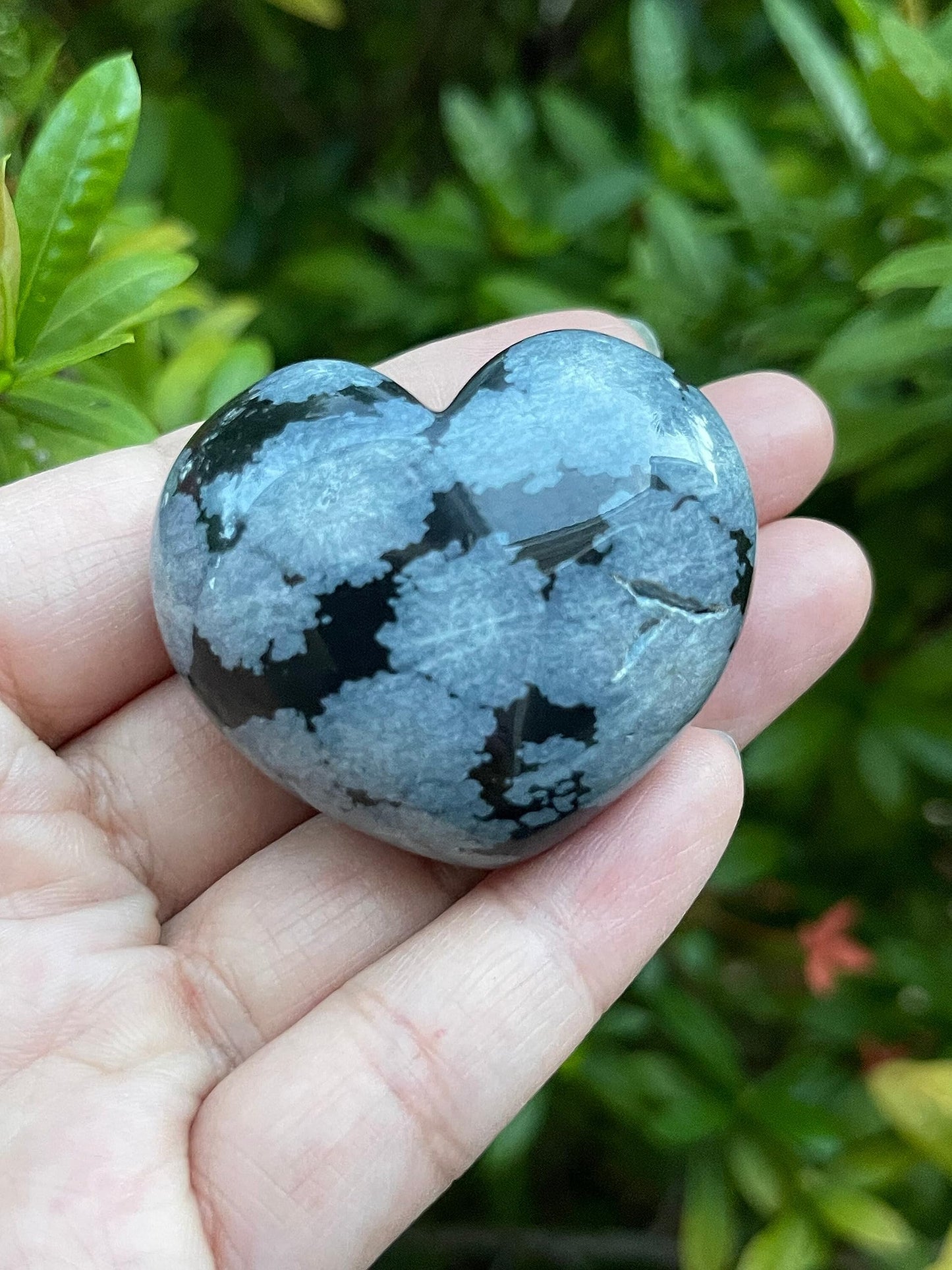 GAF TREASURES Snowflake Obsidian Gemstone Hearts, Polished Snowflake Obsidian Puffy Hearts, Snowflake Obsidian Crystal Palm Stone, Snowflake Obsidian Healing Crystal Hearts (1 Heart)