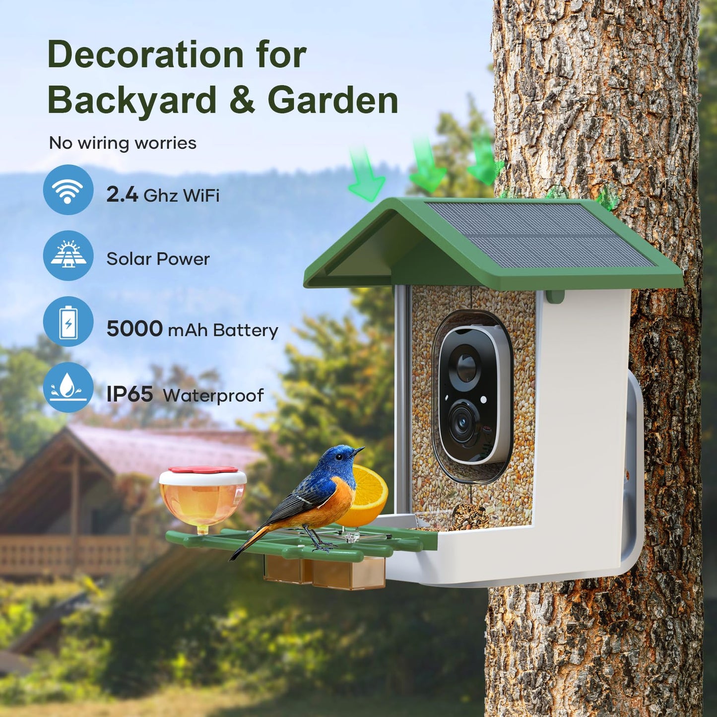 Smart Bird Feeder with Camera: Solar Powered Birdhouse with AI Recognition, Wireless Bird House with Camera for Outdoor, Unique Birthday Gifts for Mom Dad