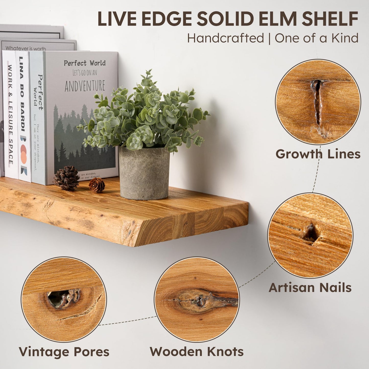 Realgulf Floating Shelves Set of 2, Solid Elm Wood Wall Shelves 24 Inch - Invisible Bracket Mount for Living Room, Bedroom, Kitchen, Bathroom - Natural