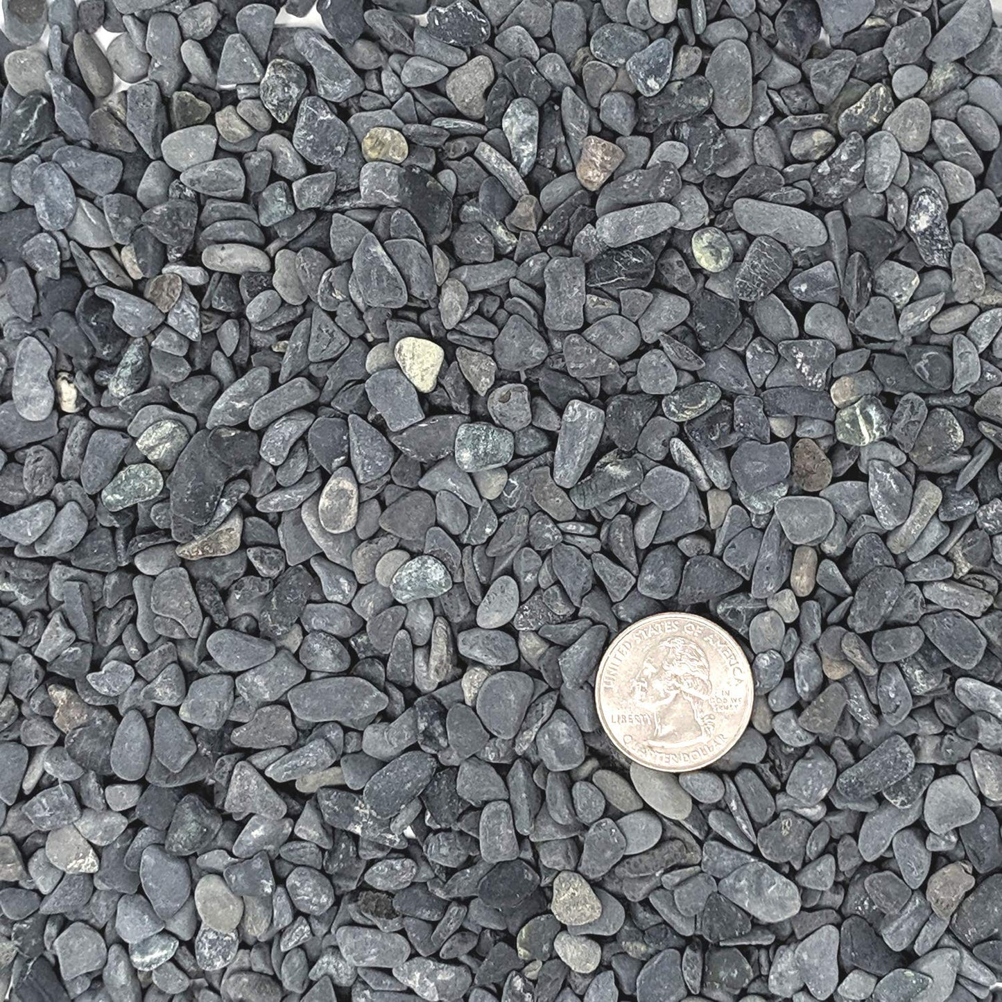 Midwest Hearth Natural Decorative Gray Bean Pebbles 1/5" Size (10-lb Bag)