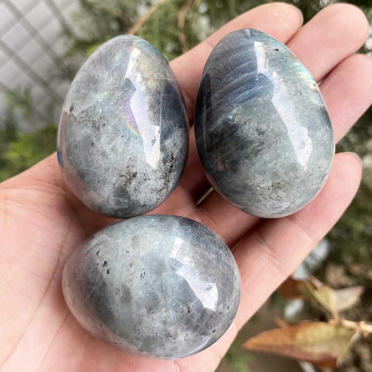 favoramulet Polished Stone Egg for Easter Day, Palm/Pocket/Worry Enegry Healing Crystal Display Sphere Figurine Fengshui, Moonstone 1.8" x 1.3"