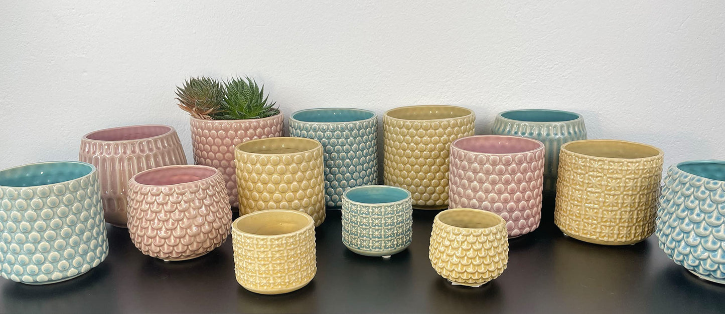 Nordring Stoneware Flower Pot – 6’’ Seasalt Planter with Polka Dots – Modern Ceramic Pot with Crackle Glaze – No Drainage Holes – Holds 5’’ Indoor Plant