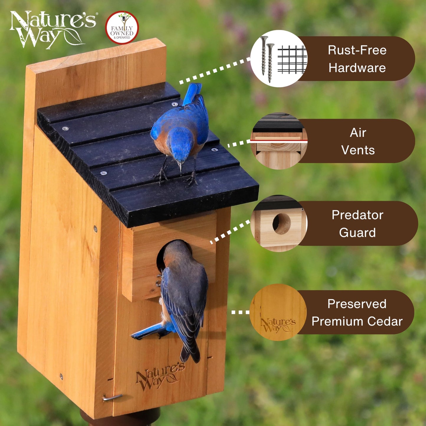 Nature’s Way Cedar Bluebird & Cavity Nesting House, Predator Guard, Ventilated Design & Easy Access Clean-Out Panel, Natural Wood