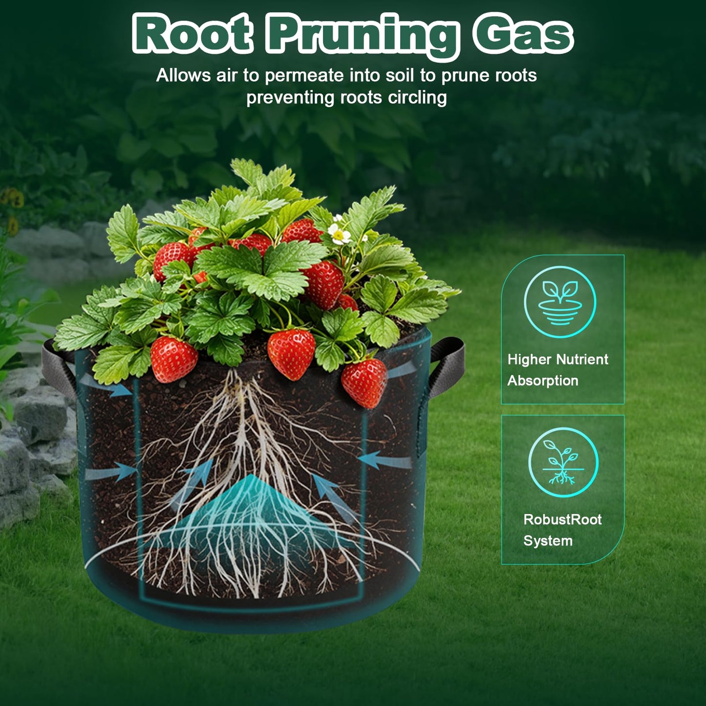 COKIELE 5 Pack 5 Gallon Grow Bags, Thickened Aeration Nonwoven Fabric Plant Pots with Handles, Heavy Duty 300G Garden Planting Bag for Tomato, Potato, Strawberry, Vegetable, Fruits and Flowers