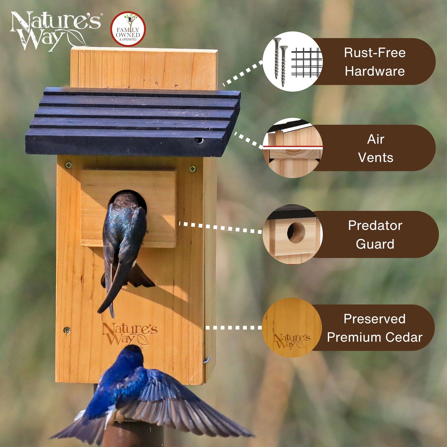 Nature's Way Bird Products CWH4 Cedar Bluebird Viewing House