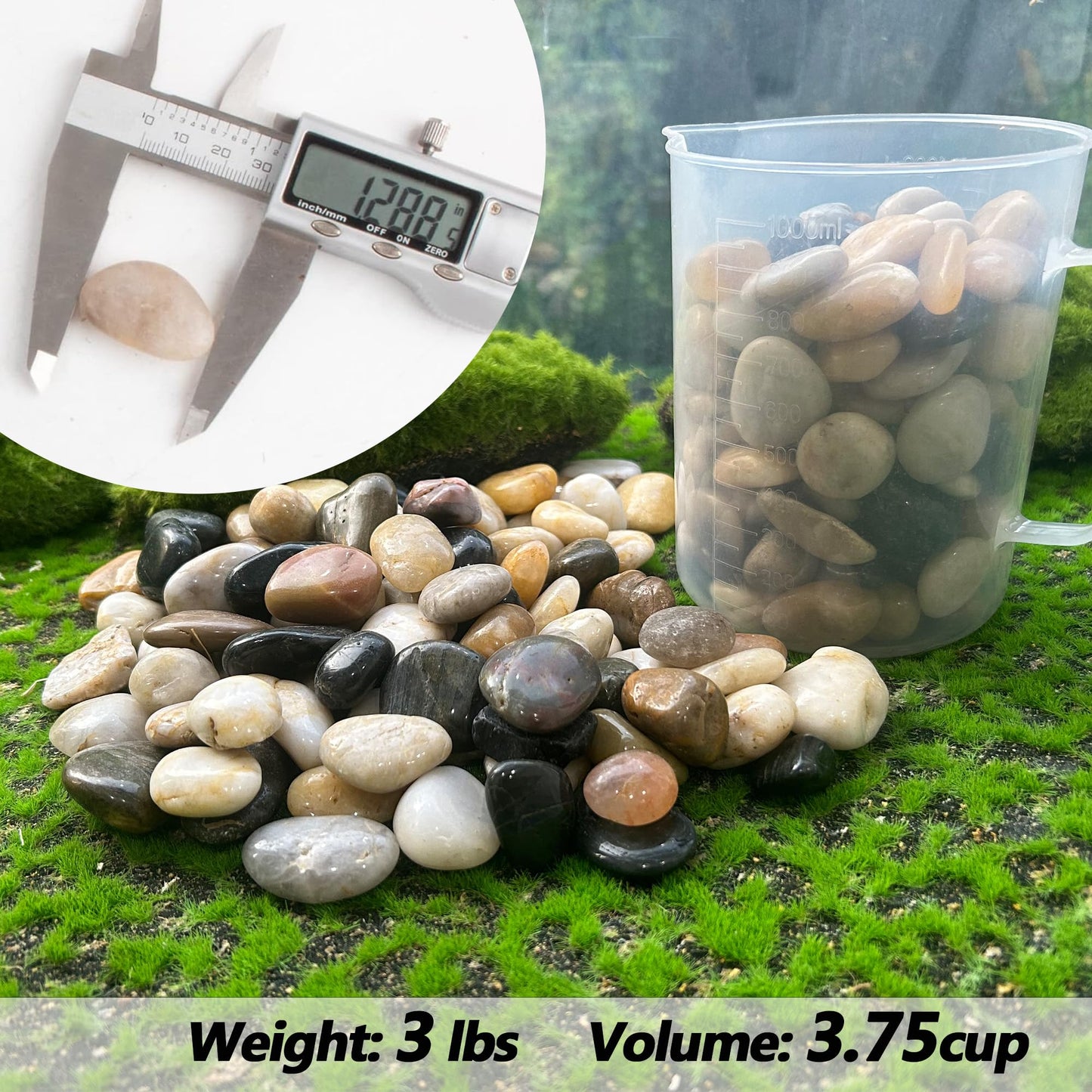 Pebbles for Plants 3 lb Natural Garden Decorative Stone Outdoor Aquariums Gravel 1-1.5 Inches